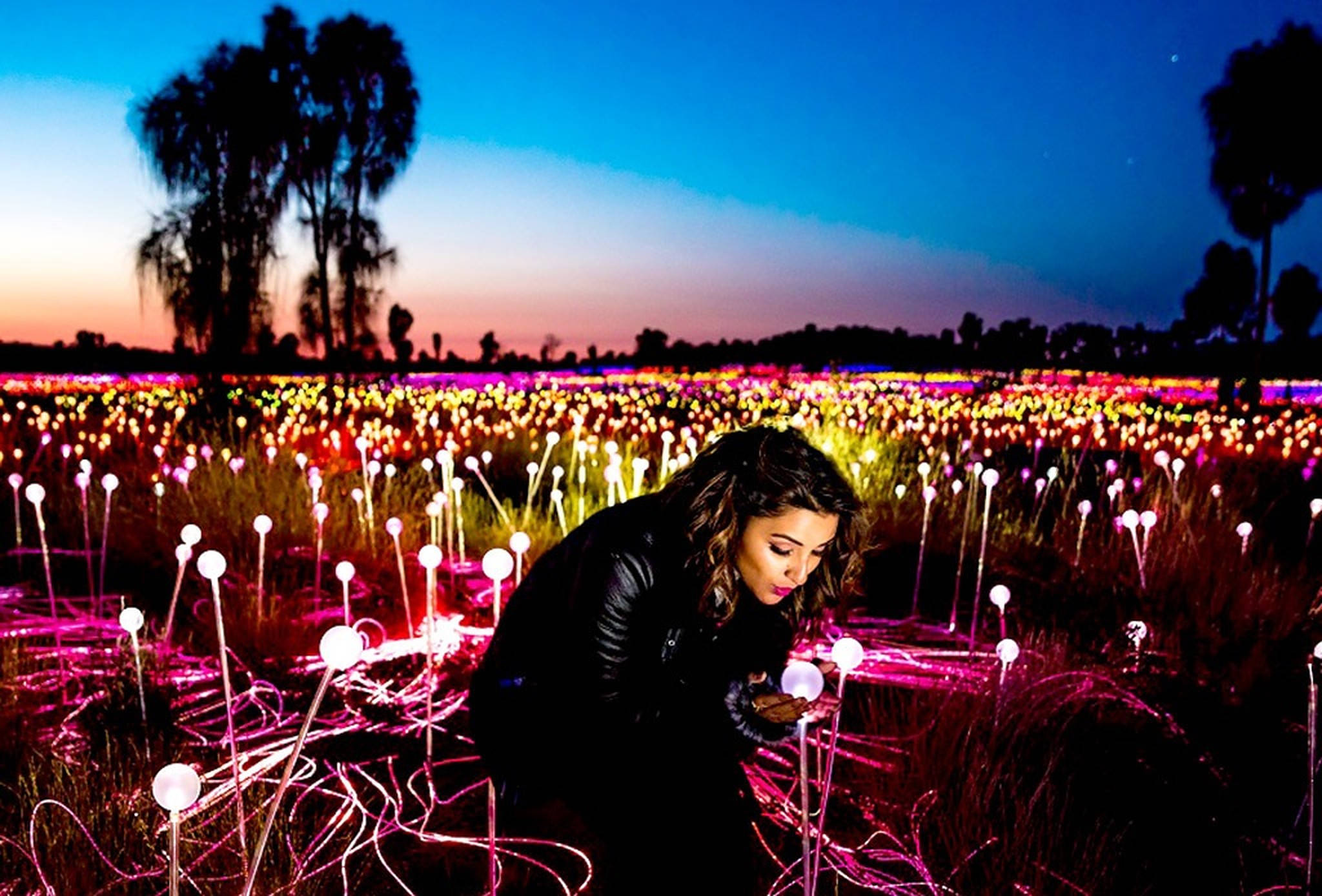 Parineeti Chopra, glowing pink and yellow lights, twilight sky, Full HD Desktop Wallpaper