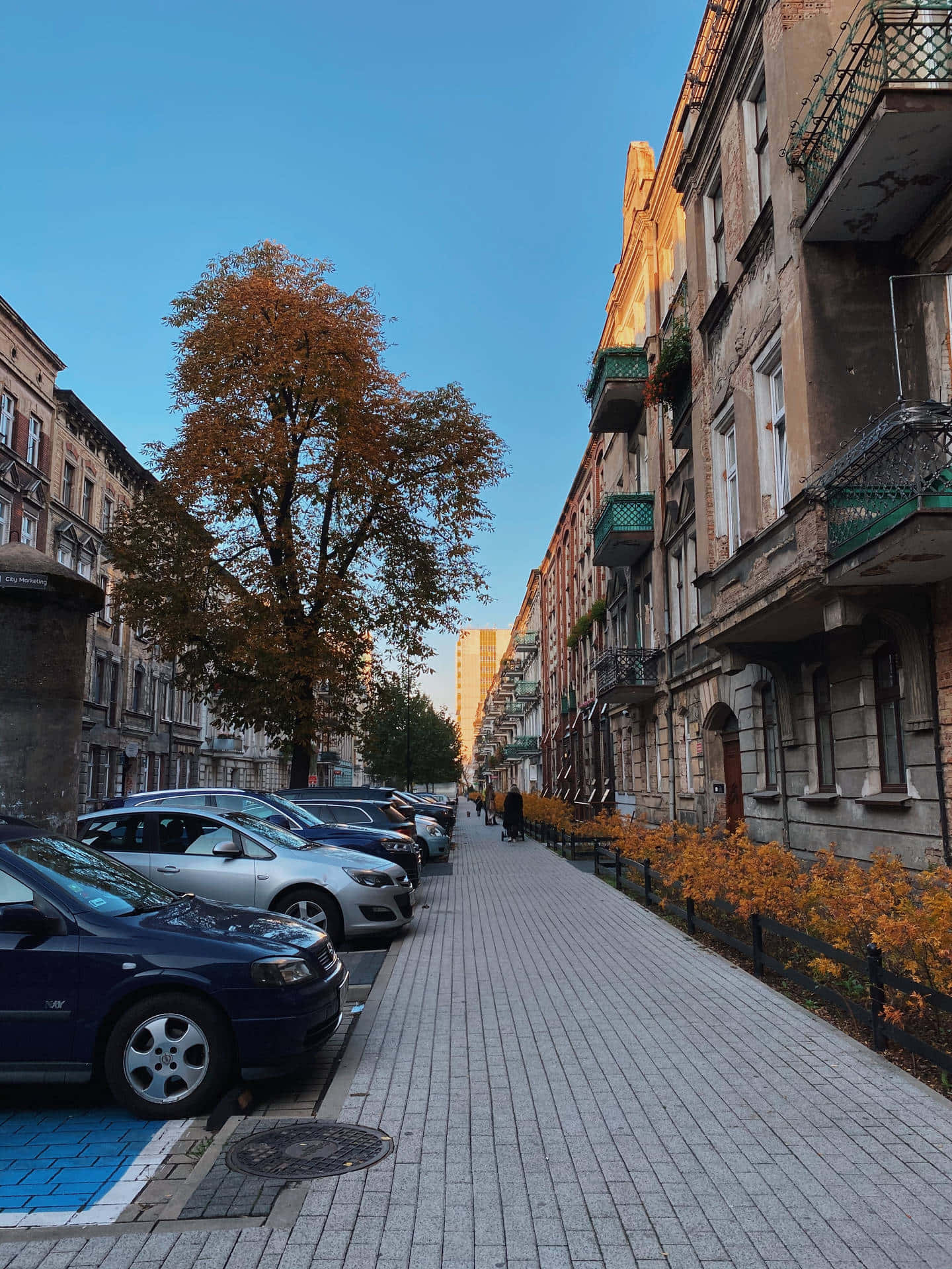 urban city street, parked cars, autumnal trees, Full HD Phone Wallpaper