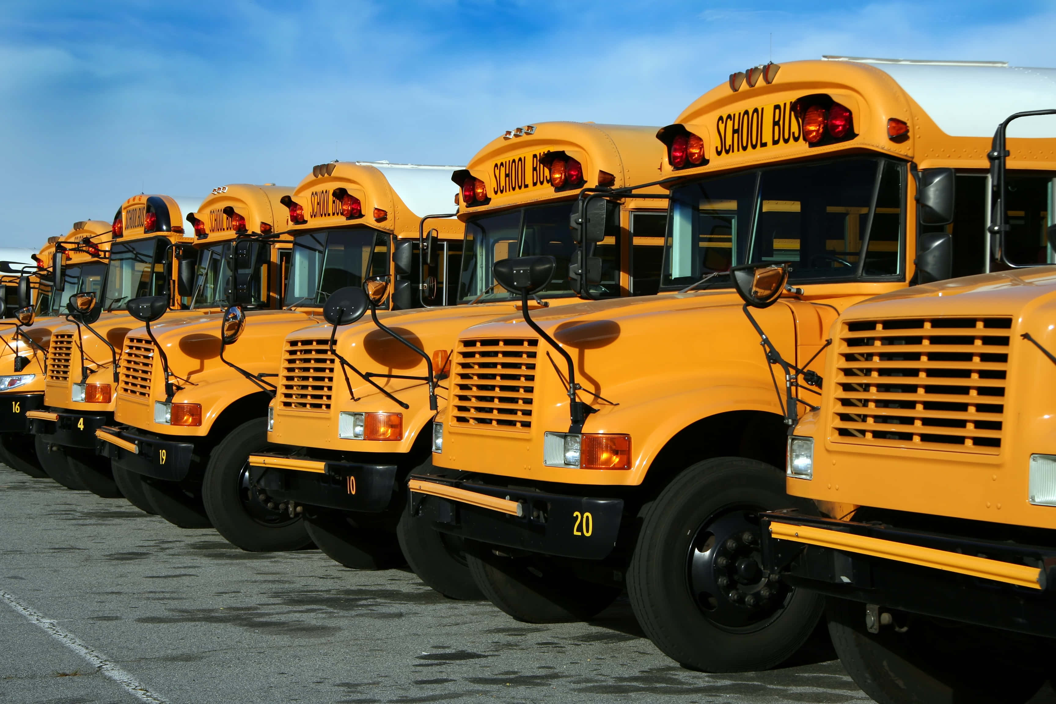 yellow school bus, parking lot, clear blue sky, 2K Desktop Wallpaper