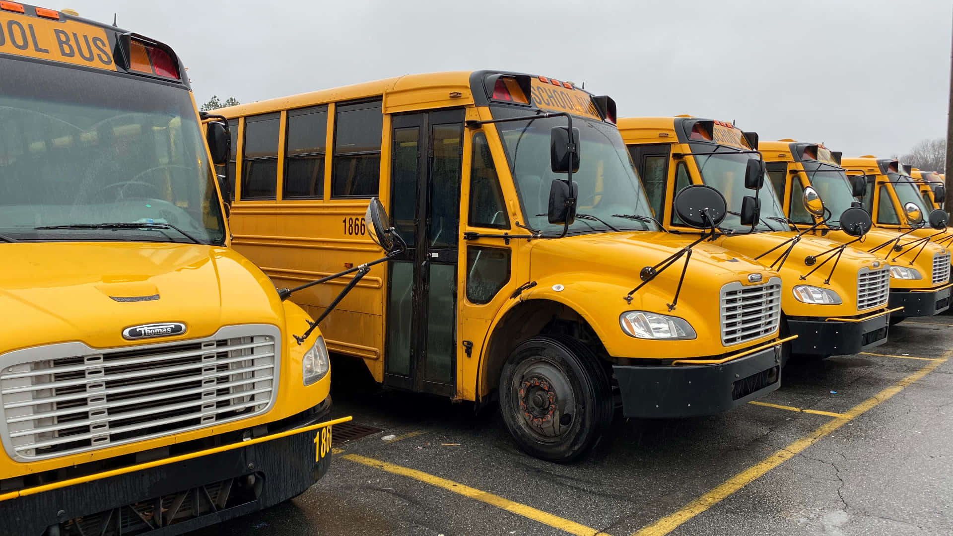bright yellow school buses, parked in a lot, overcast sky, Full HD Desktop Wallpaper