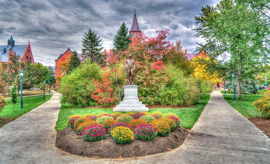 autumn colorsat burlington park, vibrant autumn garden, colorful flowers, SD Desktop Wallpaper