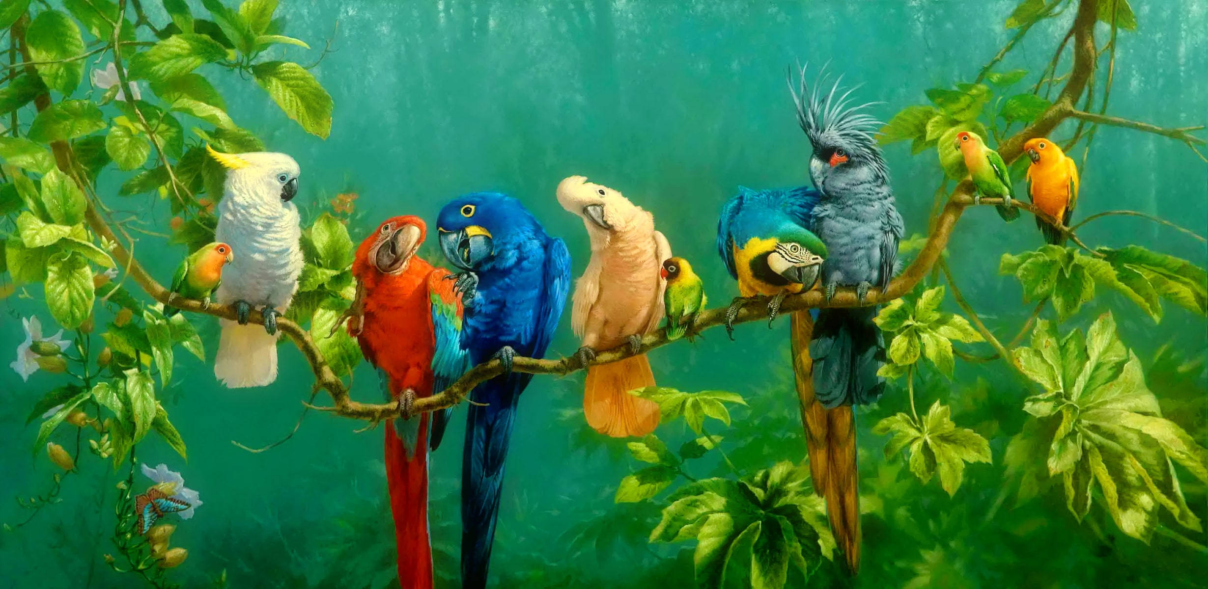 parrots, forest, tropical birds, Full HD Desktop Wallpaper