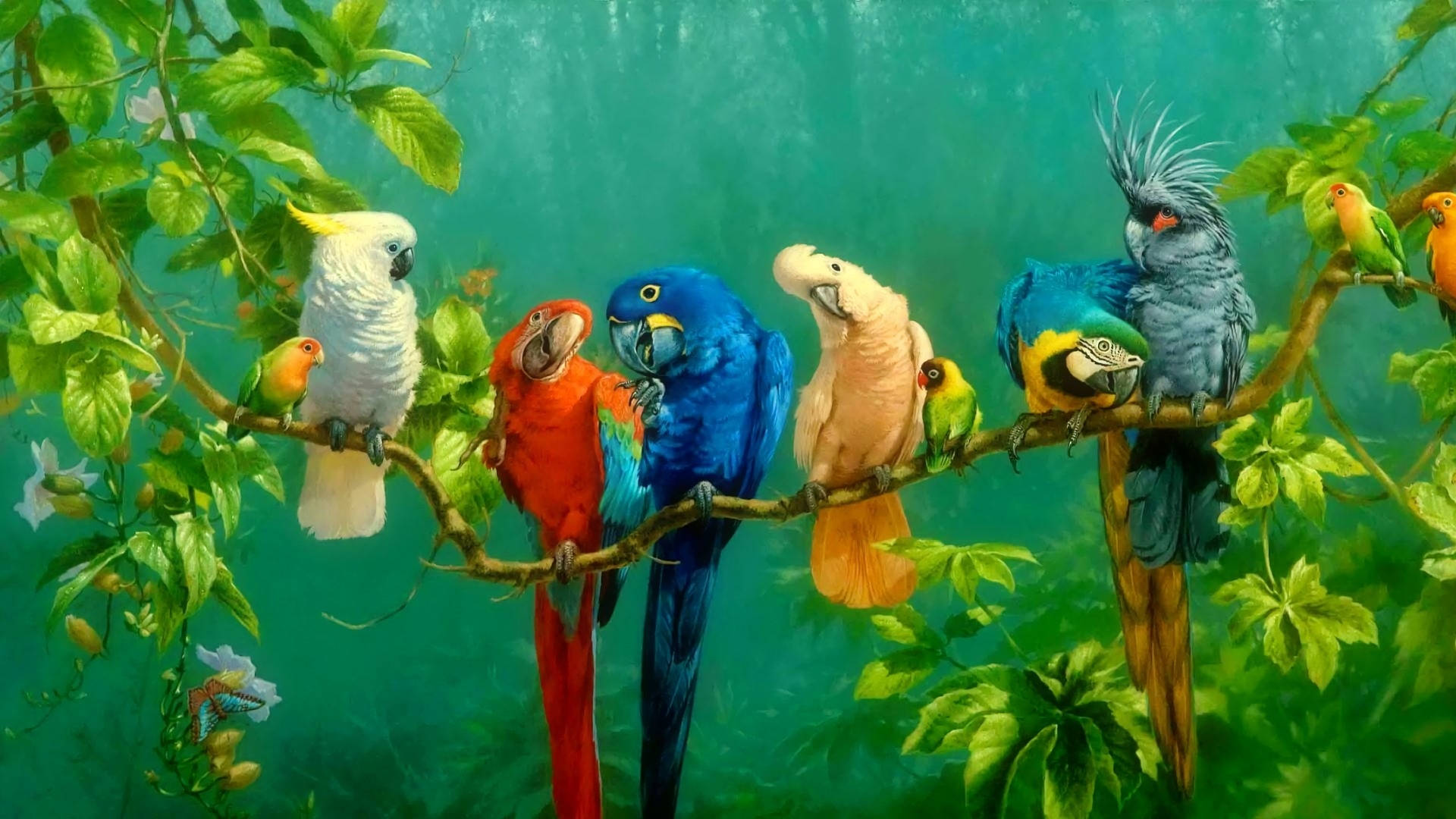 1920x1080, HD, tropical parrots, Full HD Desktop Wallpaper