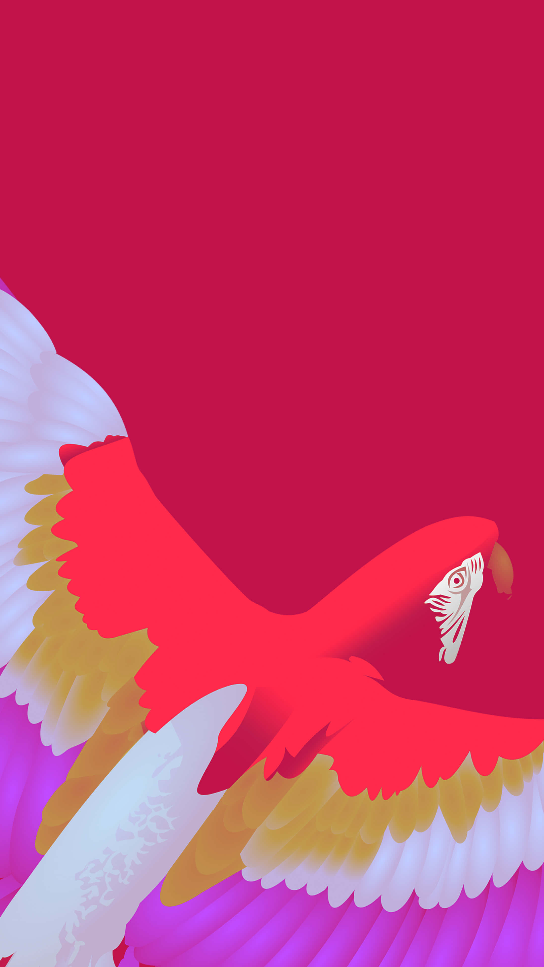 red parrot, white and yellow wing accents, vivid magenta background, 4K Phone Wallpaper