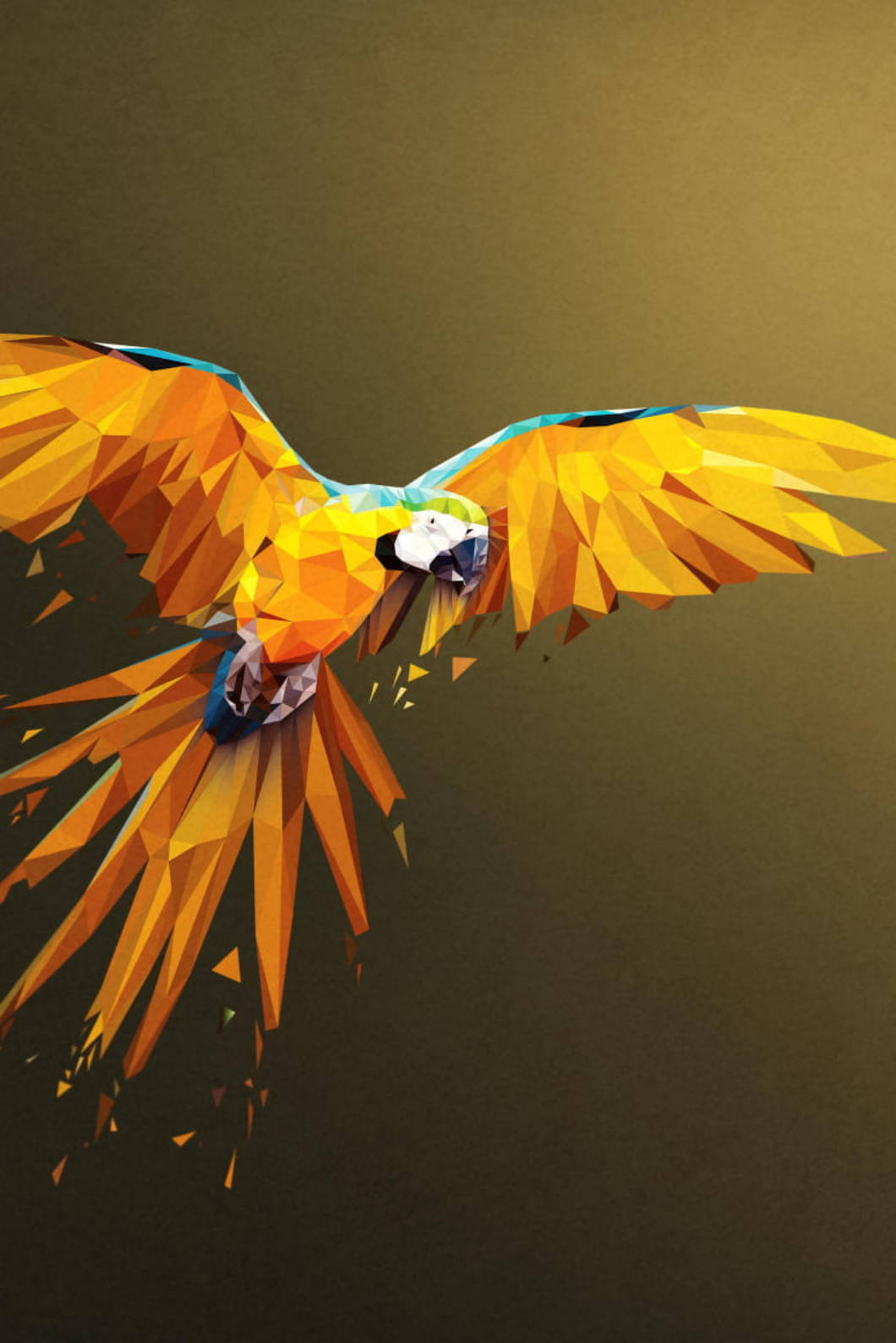 yellow parrot, iPhone 4s, orange yellow feathers, HD Phone Wallpaper