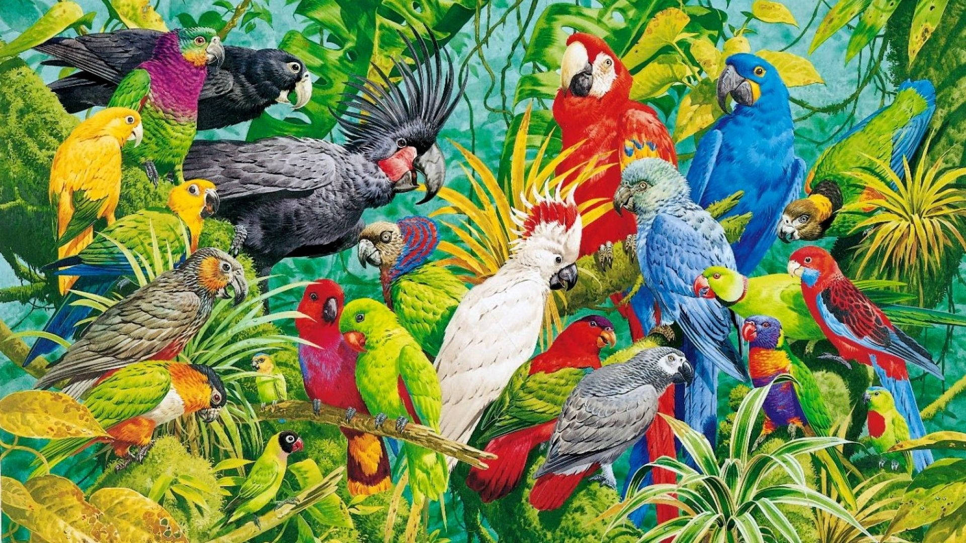 vivid painting, tropical parrots, lush green jungle foliage, Full HD Desktop Wallpaper