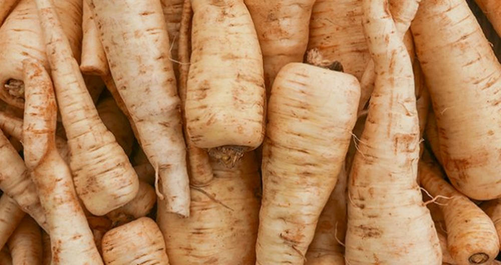 Parsnip, vegetable root crops, textured beige skin, SD Desktop Wallpaper