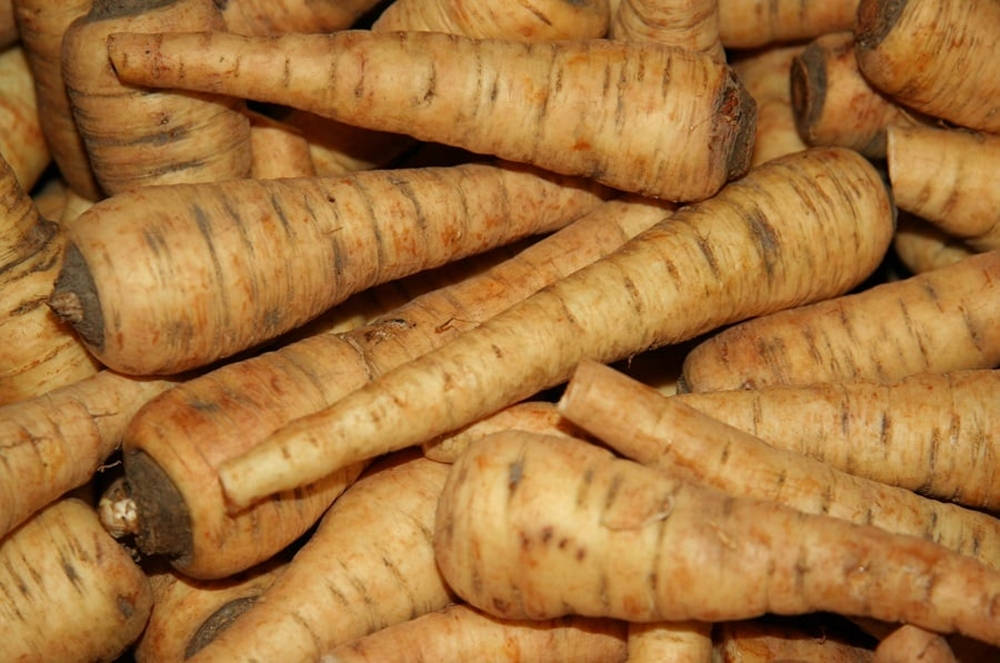 parsnip, root crop, vegetables, SD Desktop Wallpaper