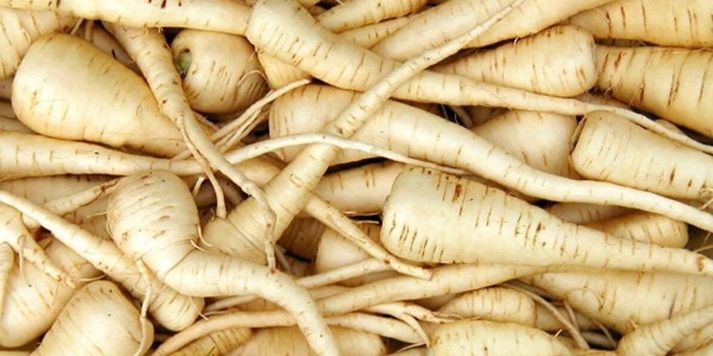 parsnip, creamy white skin, fine root hairs, SD Desktop Wallpaper