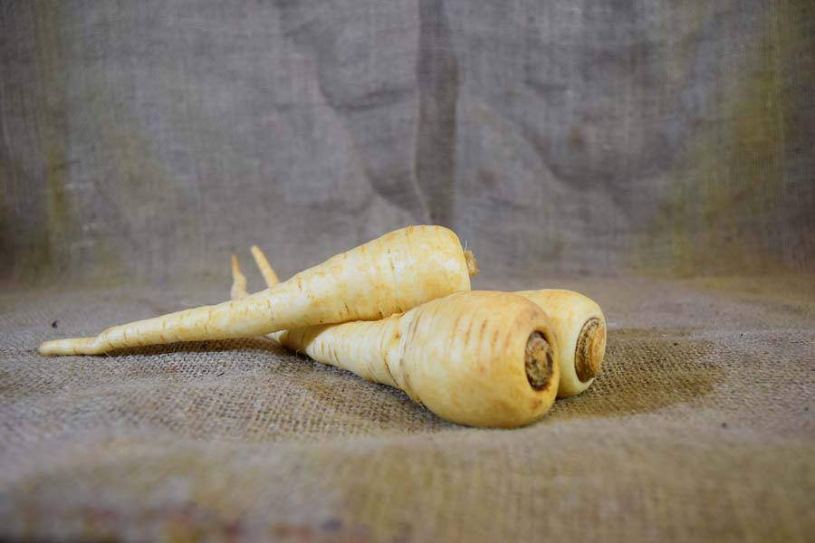 parsnip, pale yellow, coarse burlap, SD Desktop Wallpaper