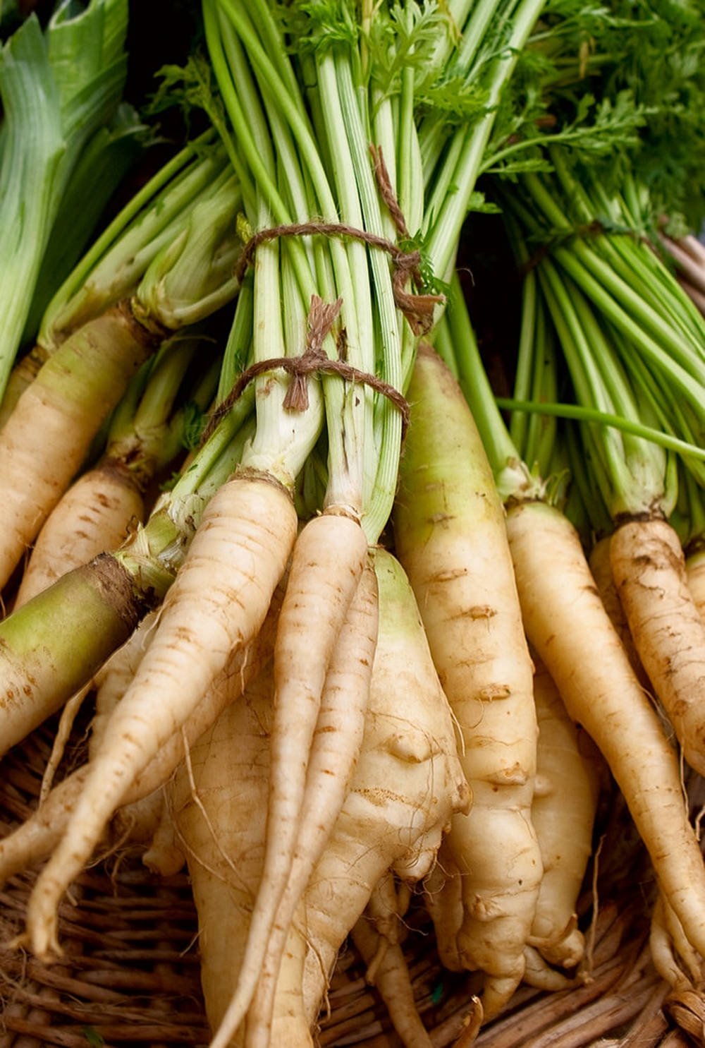 parsnip, vegetable root crops, bundles, HD Phone Wallpaper