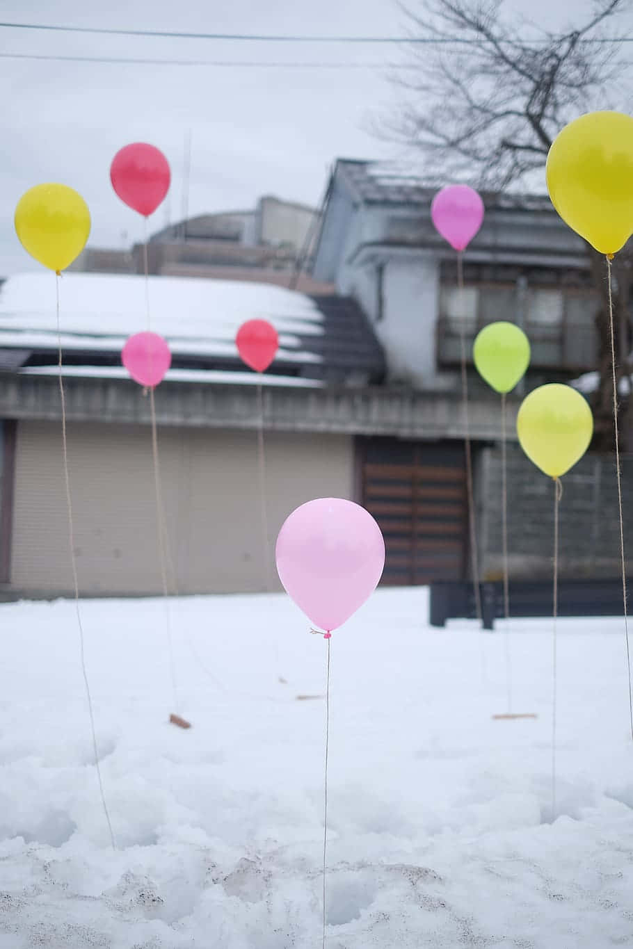 vibrant house party scene, colorful balloons, snowy yard, HD Phone Wallpaper