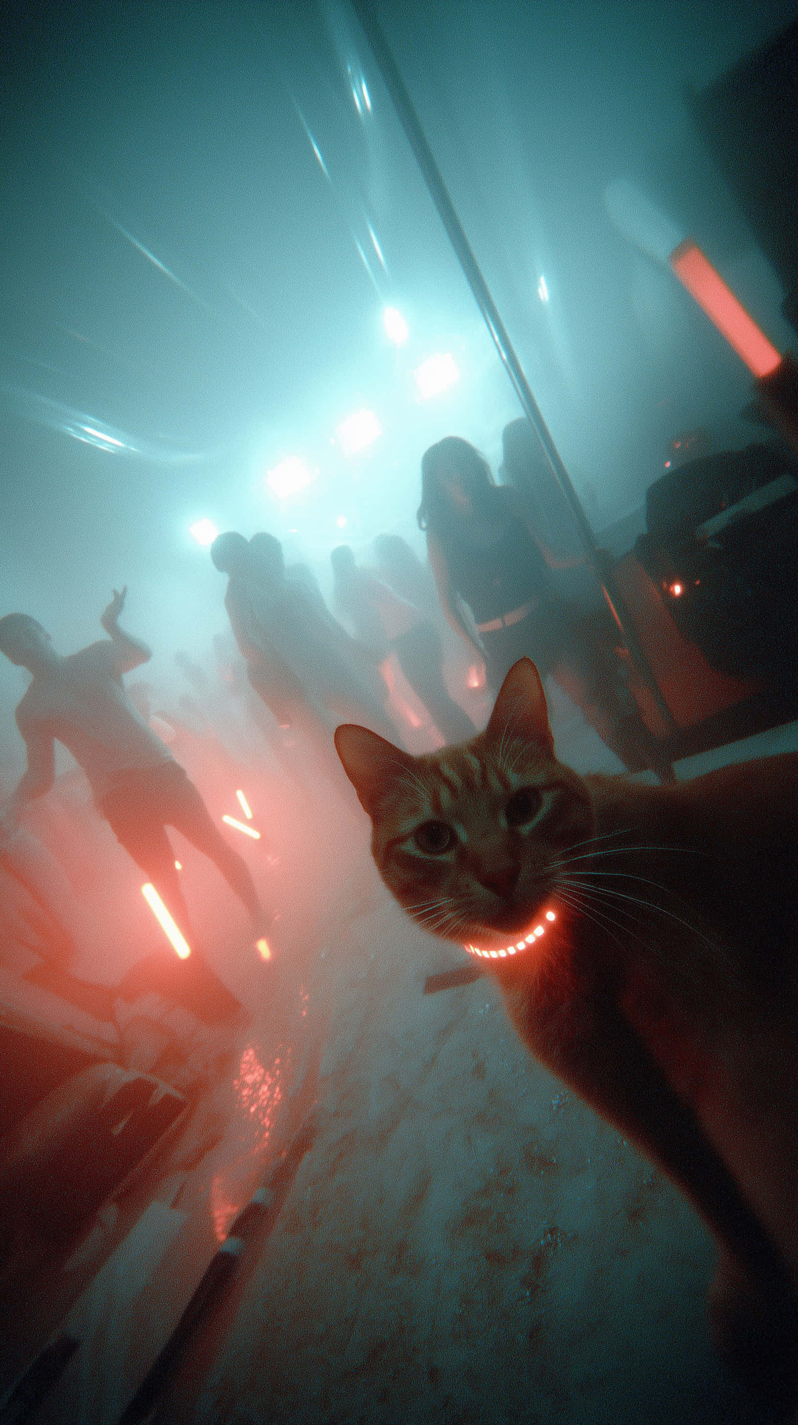 tabby cat, glowing collar, smoky nightclub, 2K Phone Wallpaper