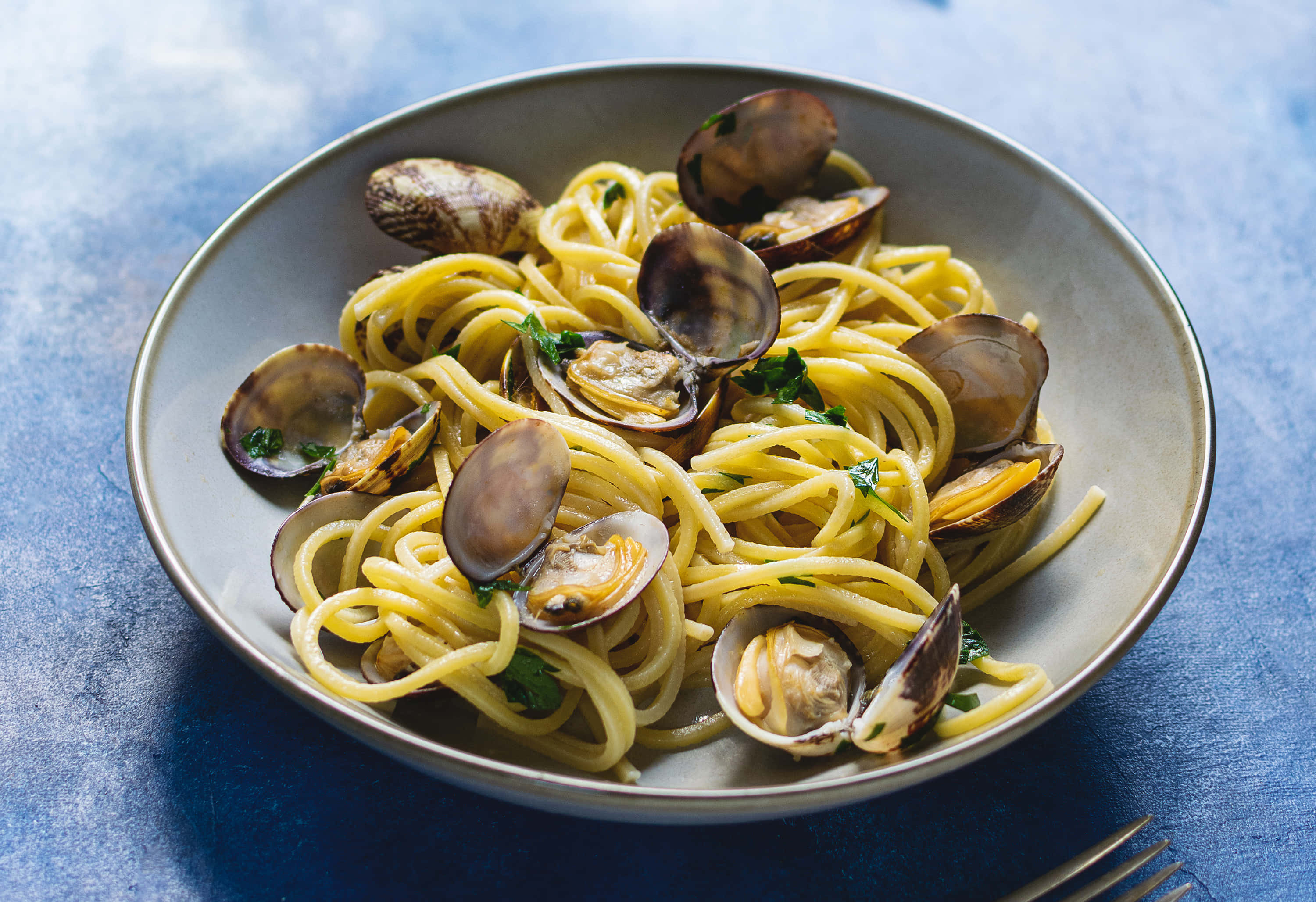 spaghetti alla vongole, gray bowl, clams, 2K Desktop Wallpaper