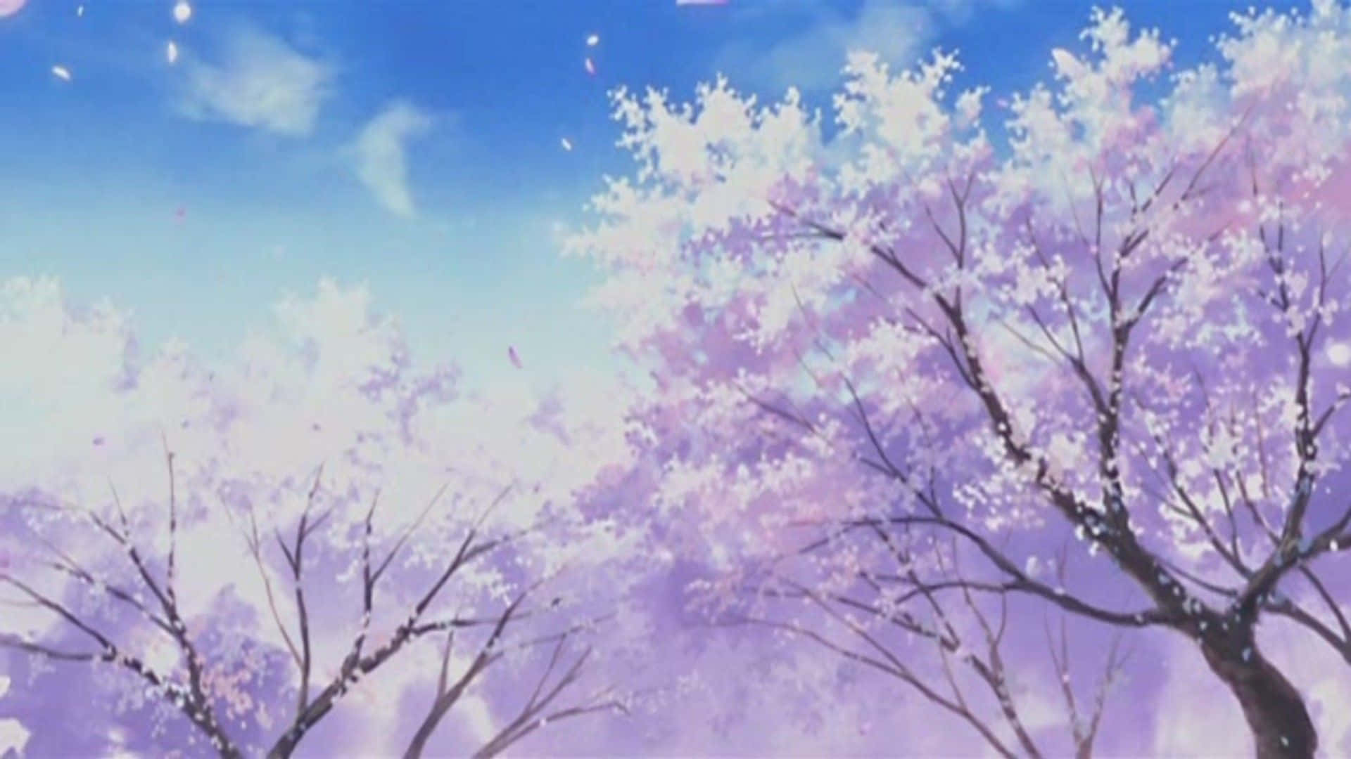 Cherry Blossoms, pastel aesthetic anime, soft pink, Full HD Desktop Wallpaper