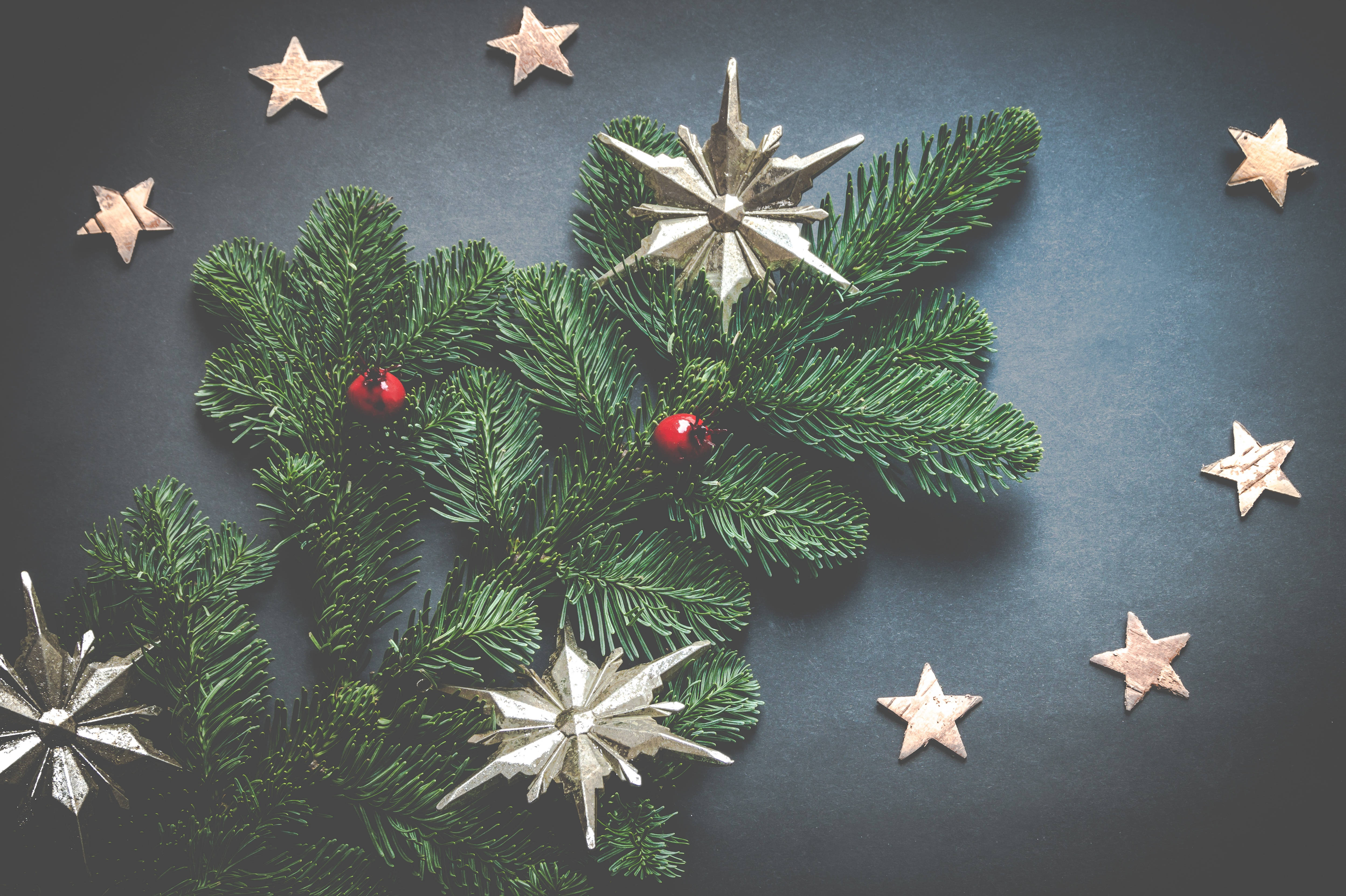 green pine branches, red berries, metallic star ornaments, 4K Desktop Wallpaper