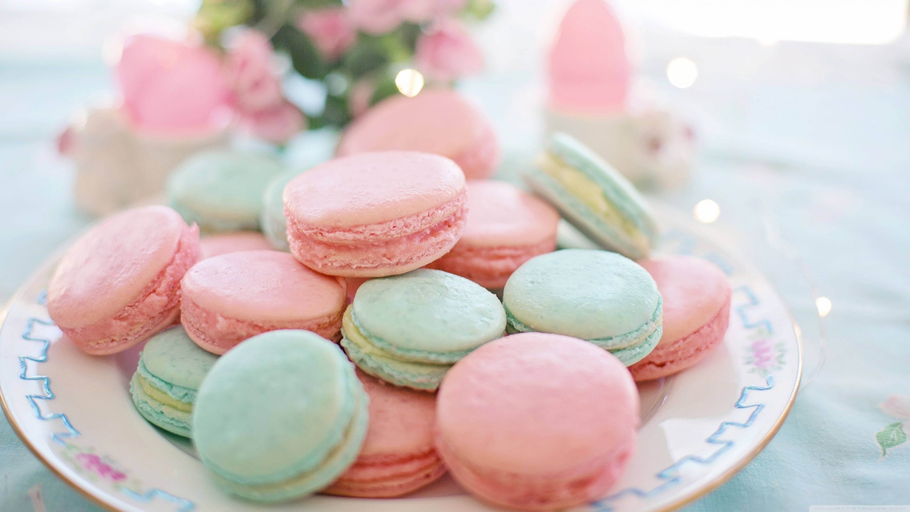 pink and blue macarons, pastel pink, mint green, 2K Desktop Wallpaper