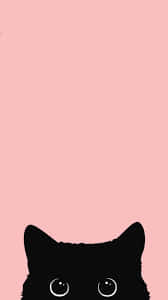 black cat, soft pink background, minimalist, SD Phone Wallpaper
