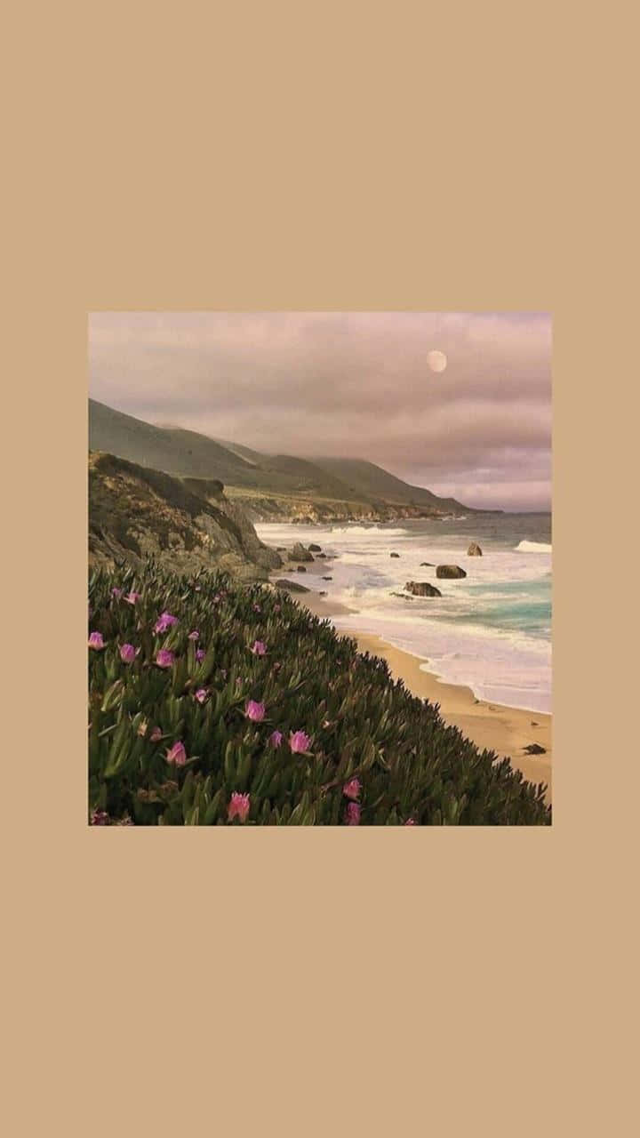 Pastel Brown, pink flowers, sandy beach, HD Phone Wallpaper