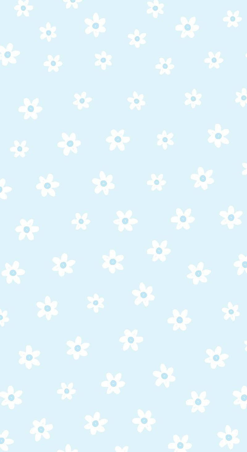 pastel blue, white daisy-like flowers, light blue centers, HD Phone Wallpaper