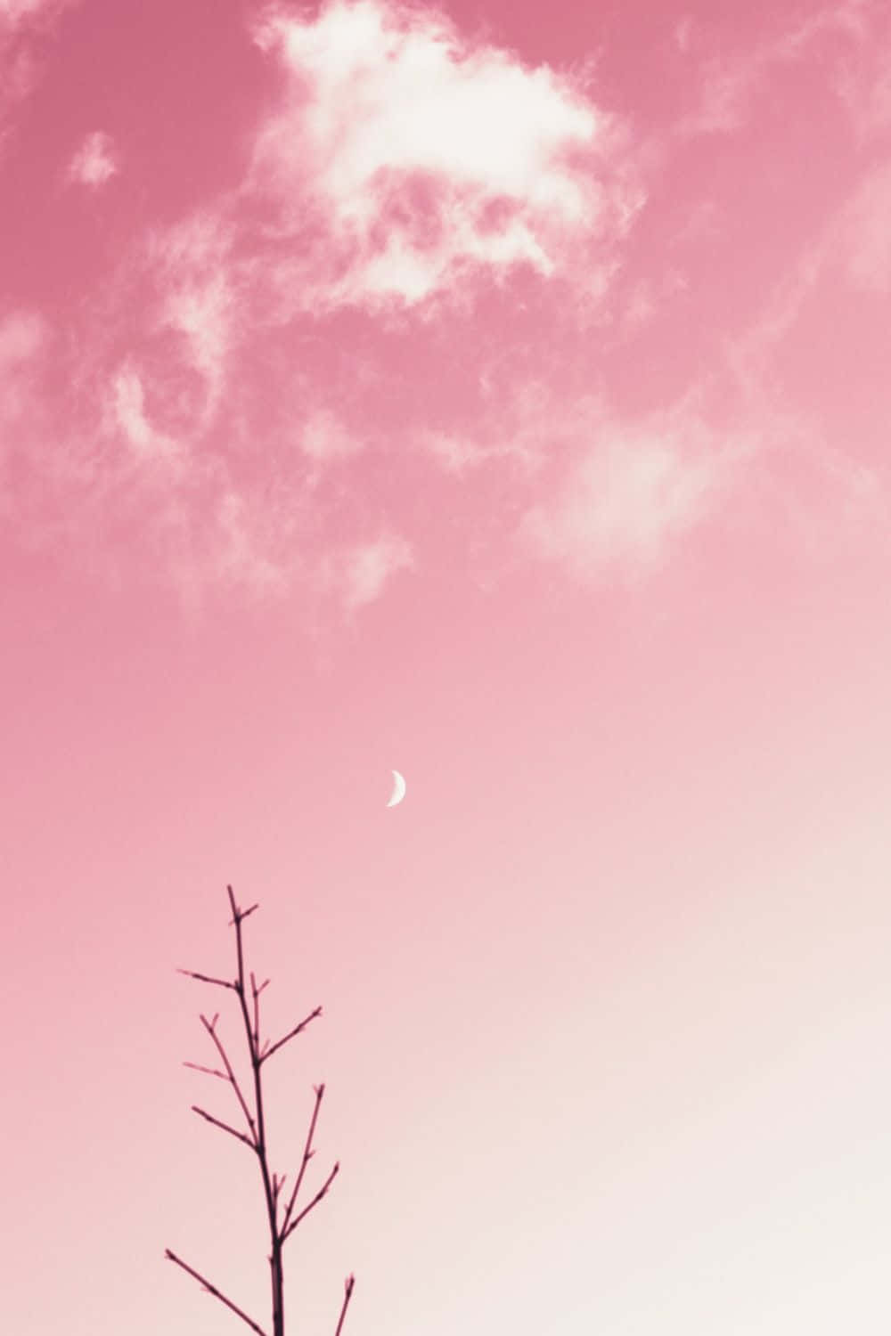 pastel blue and pink, soft pink sky, wispy clouds, HD Phone Wallpaper