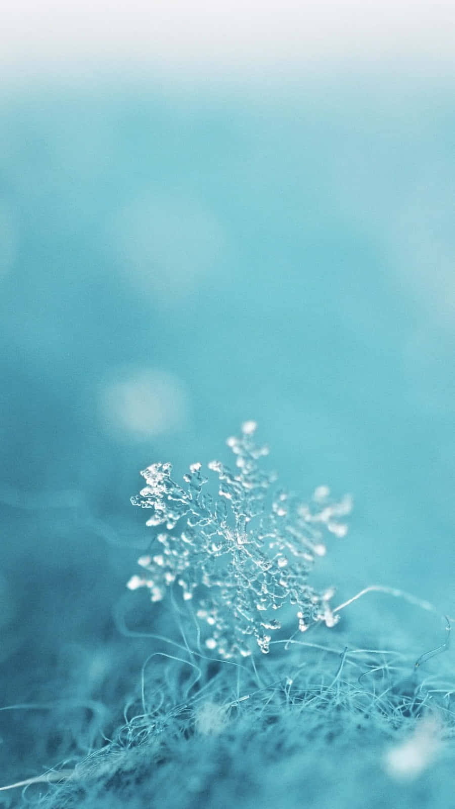 Pastel Blue Green, frost crystal, soft blue fibers, HD Phone Wallpaper