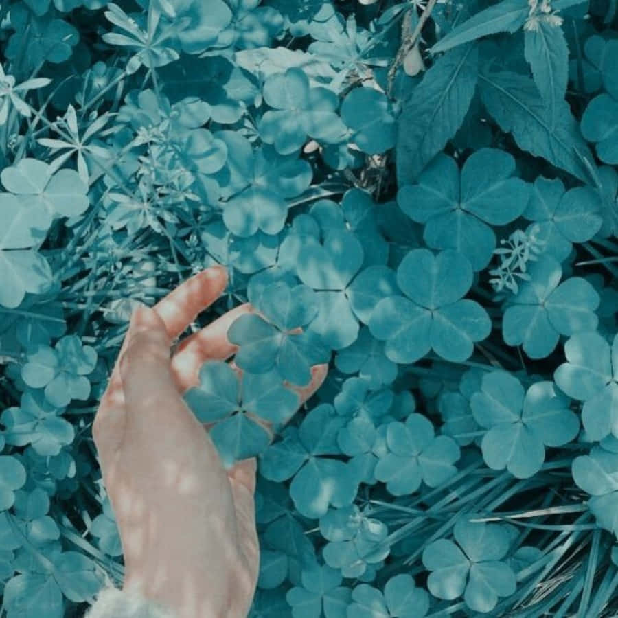 Pastel Blue Green, clover, cool blue light, SD Desktop Wallpaper