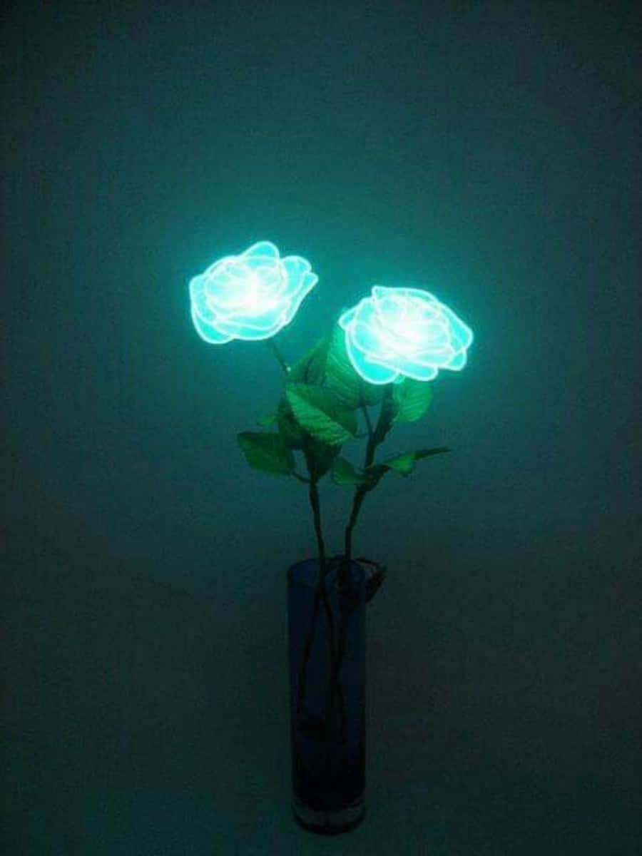 neon blue roses, dark vase, deep teal background, SD Phone Wallpaper
