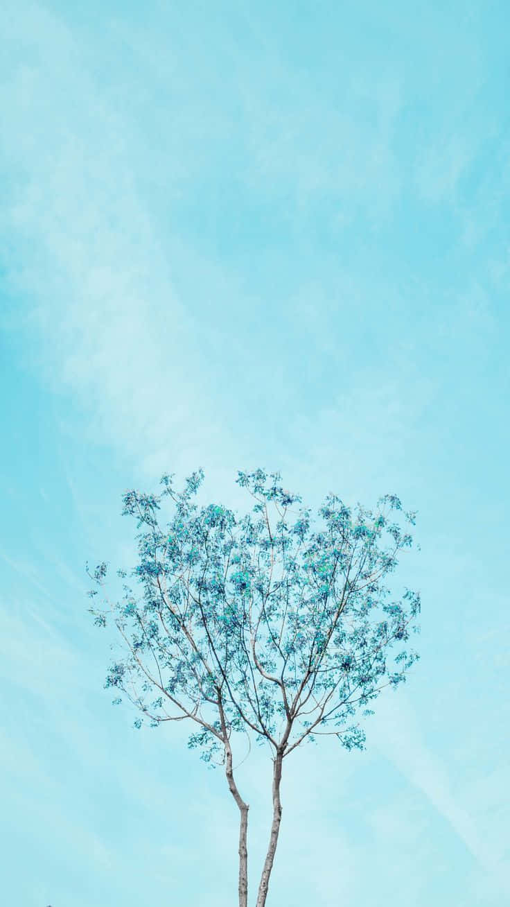 Pastel Blue, Tall Tree, blue-green leaves, HD Phone Wallpaper