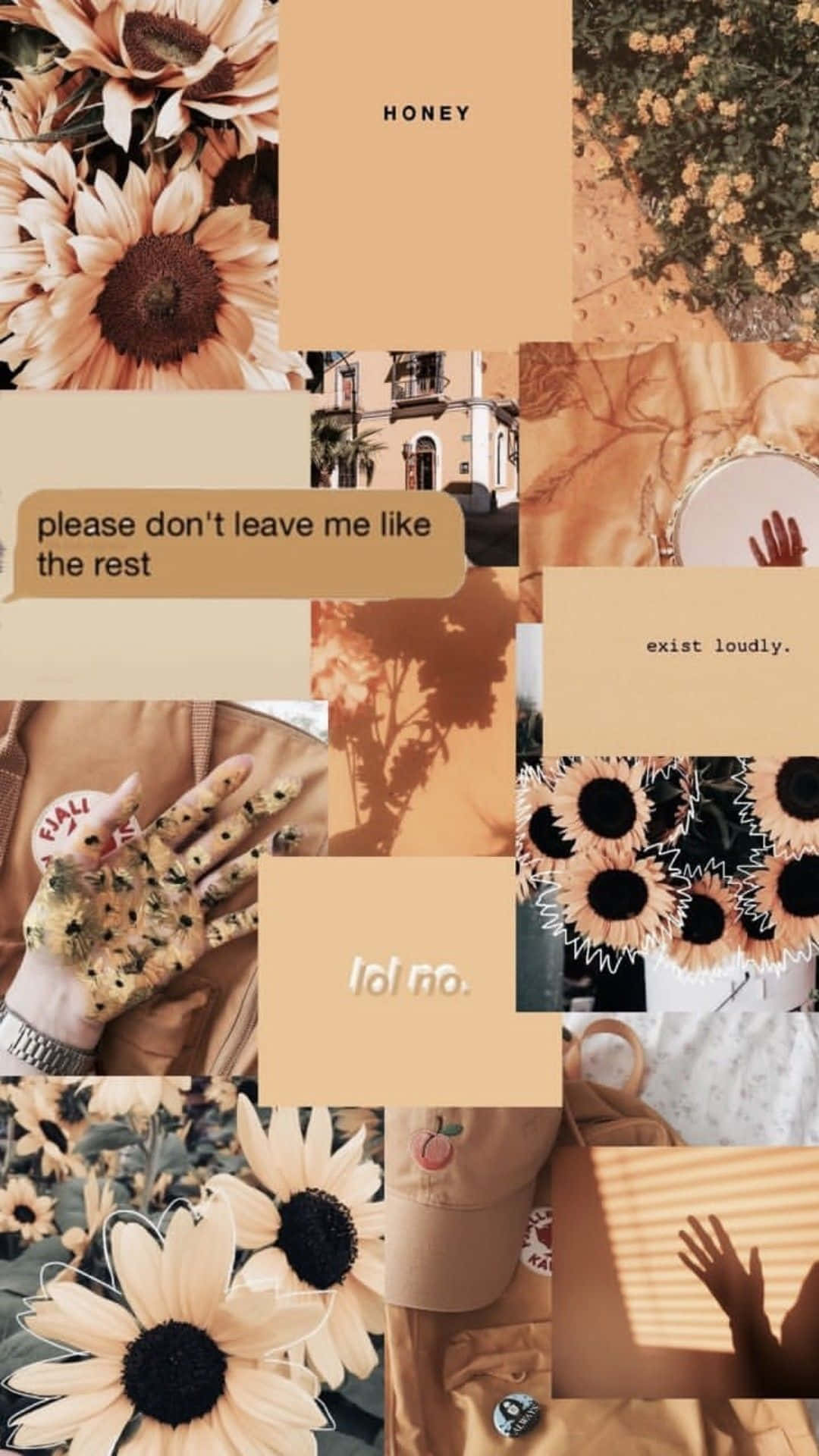 brown pastel aesthetic, sunflowers, beige textures, Full HD Phone Wallpaper