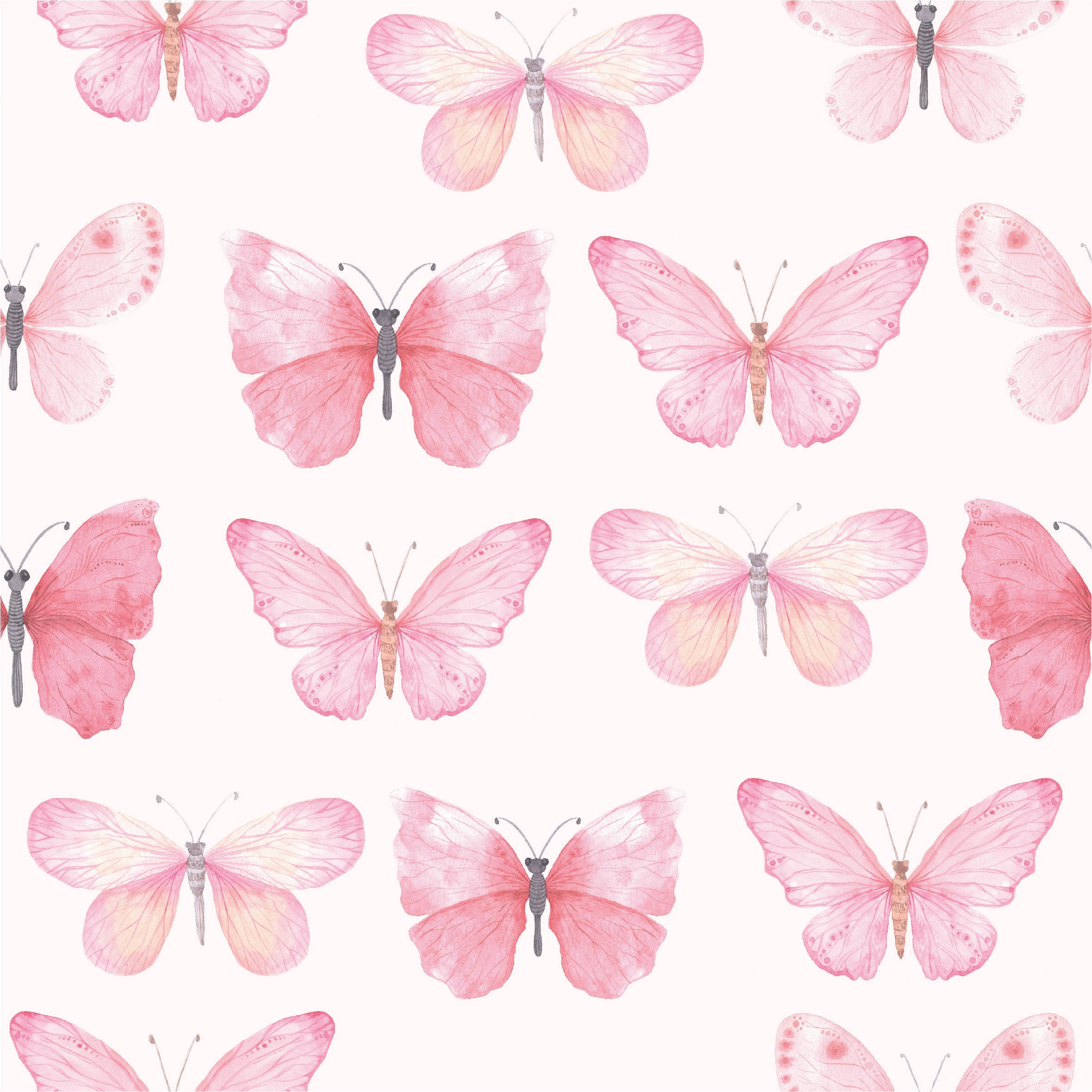 Pastel Butterfly, pink watercolor butterflies, gray bodies, Full HD Desktop Wallpaper