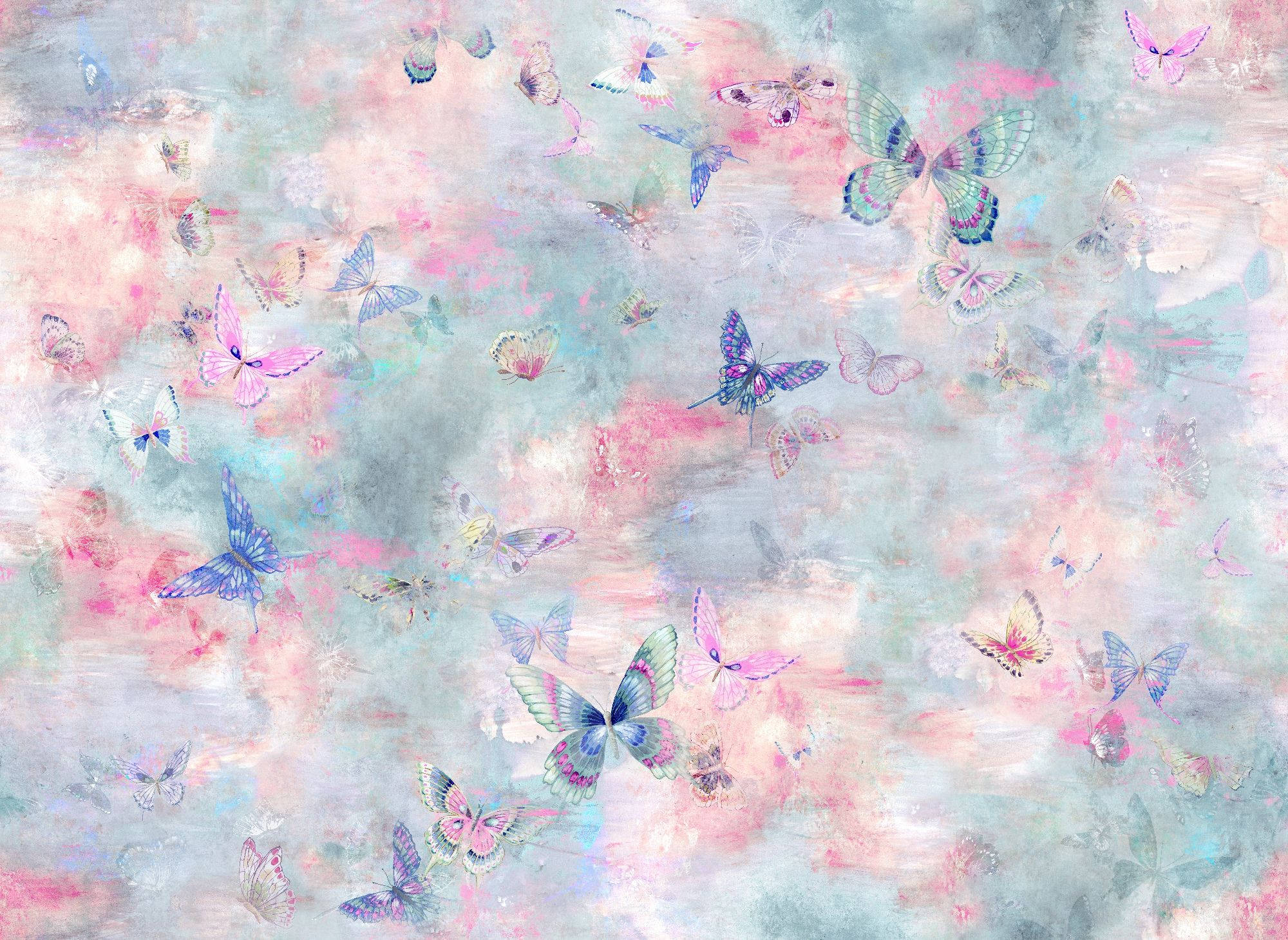 pastel butterfly, pink, blue, Full HD Desktop Wallpaper