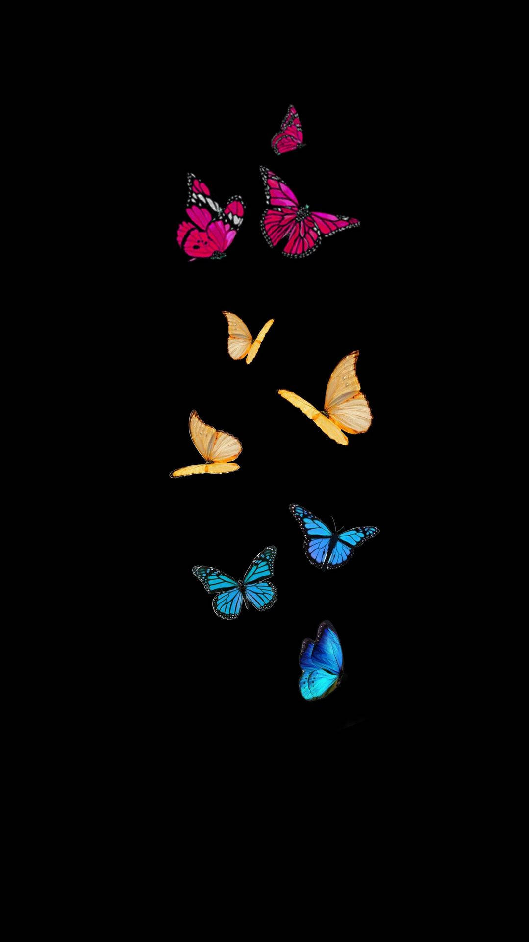 pansexual butterflies, pink, yellow, Full HD Phone Wallpaper