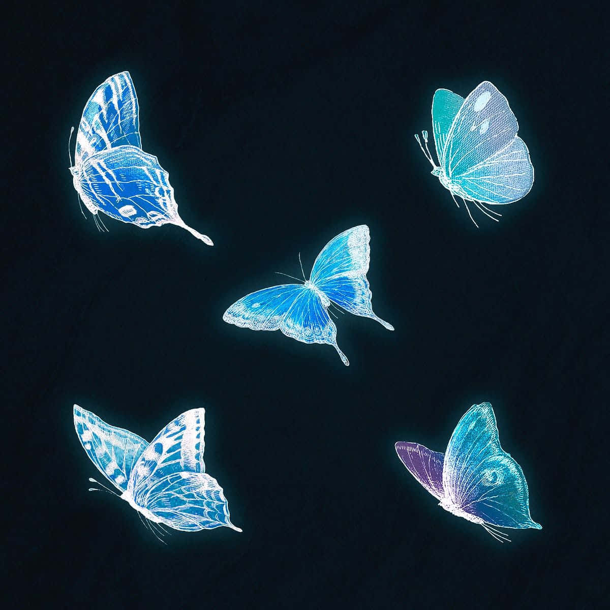 neon blue butterflies, intricate white vein patterns, deep black background, SD Desktop Wallpaper
