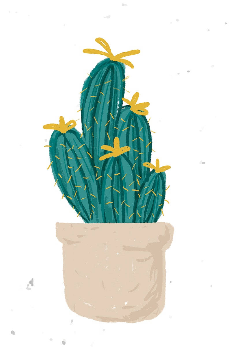 pastel cactus, teal cactus, yellow flowers, SD Phone Wallpaper