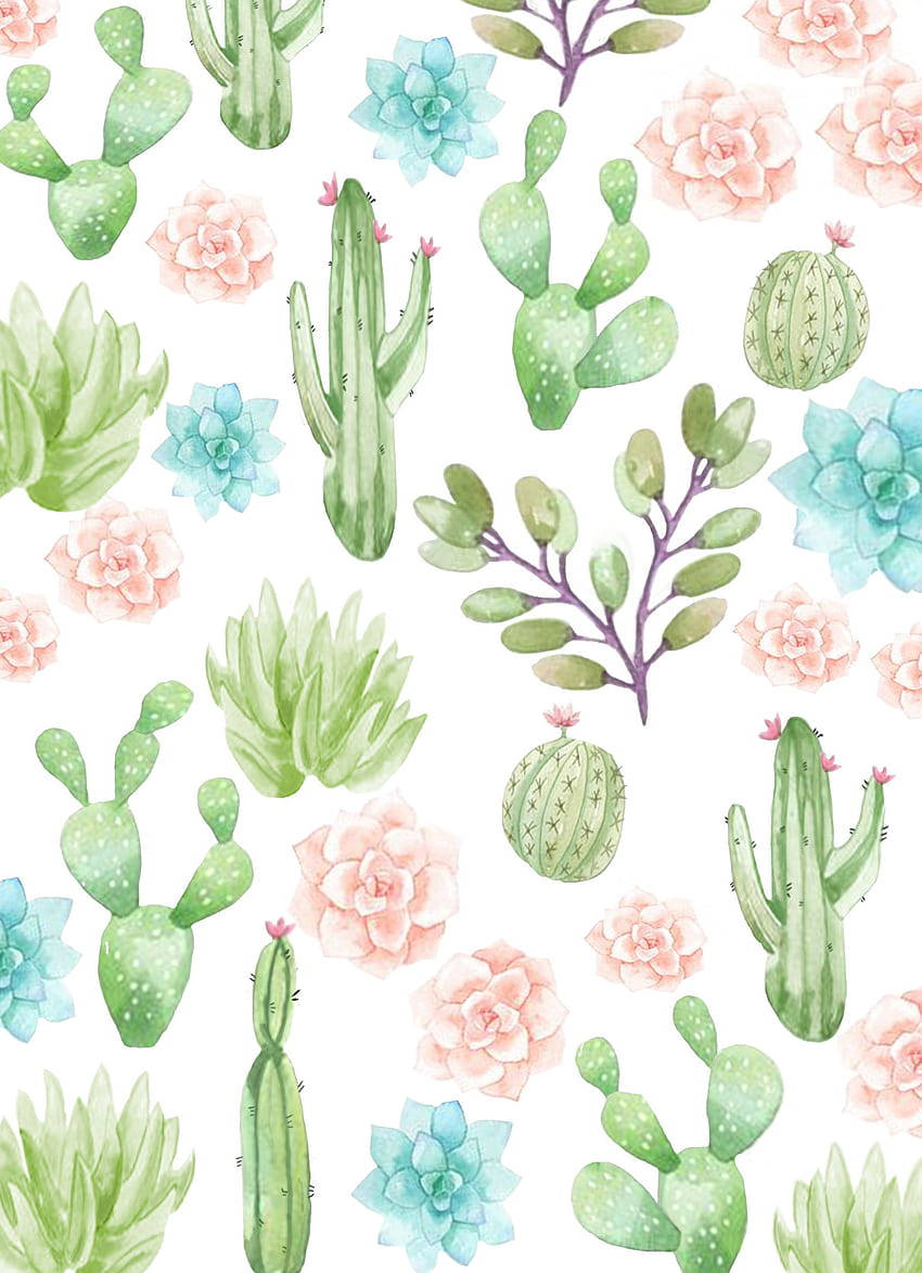 Pastel Cactus, pink flowers, blue flowers, SD Phone Wallpaper