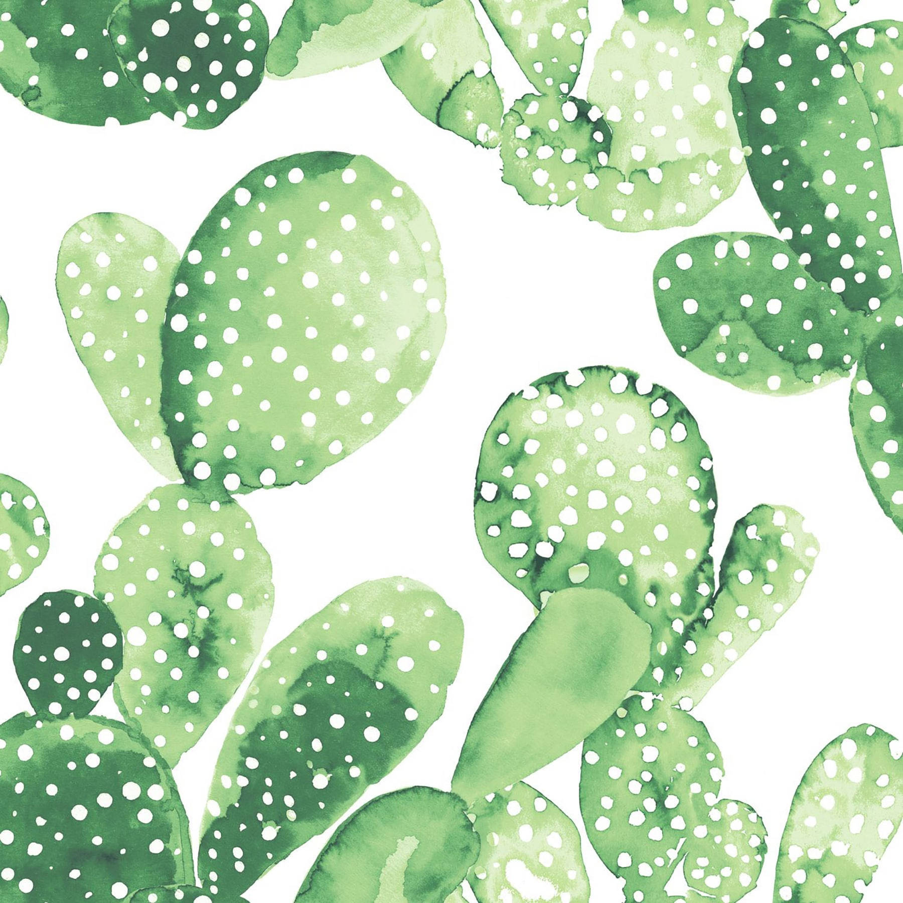 Pastel Cactus, Big Leaf, green prickly pear cactus pads, HD Desktop Wallpaper