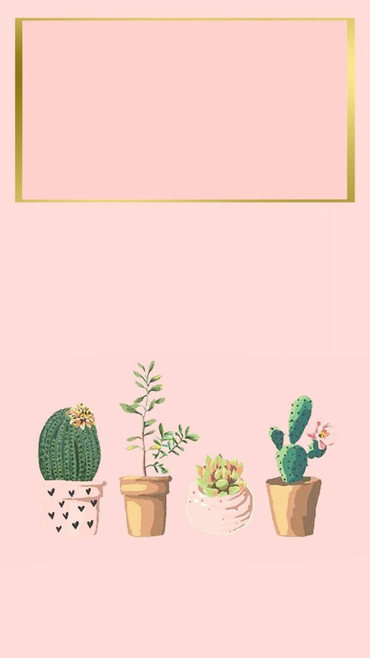 Pastel Cactus, pink, blank canvas, HD Phone Wallpaper