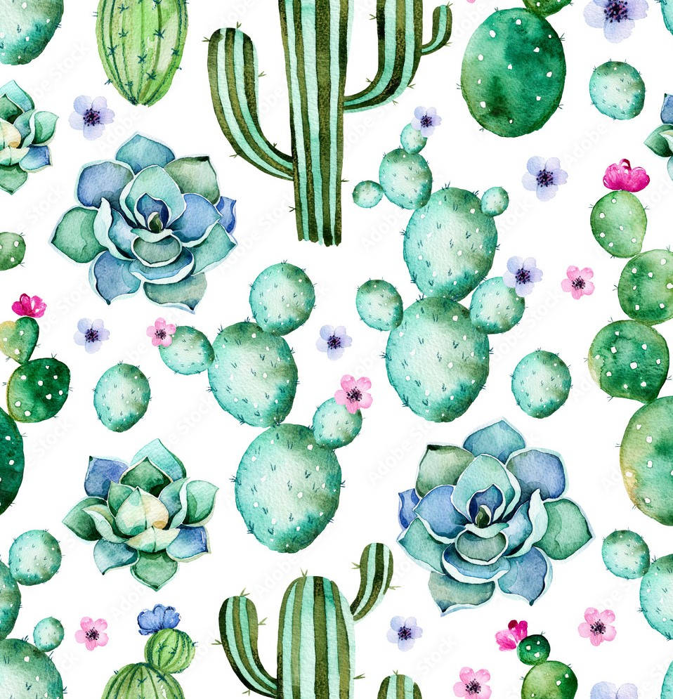 pastel cactus, green cacti, succulents, SD Phone Wallpaper