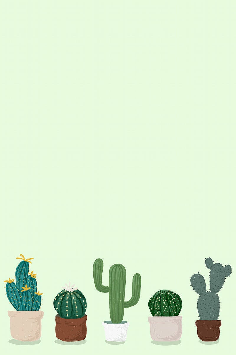 Pastel Cactus, light green, canvas mobile, SD Phone Wallpaper