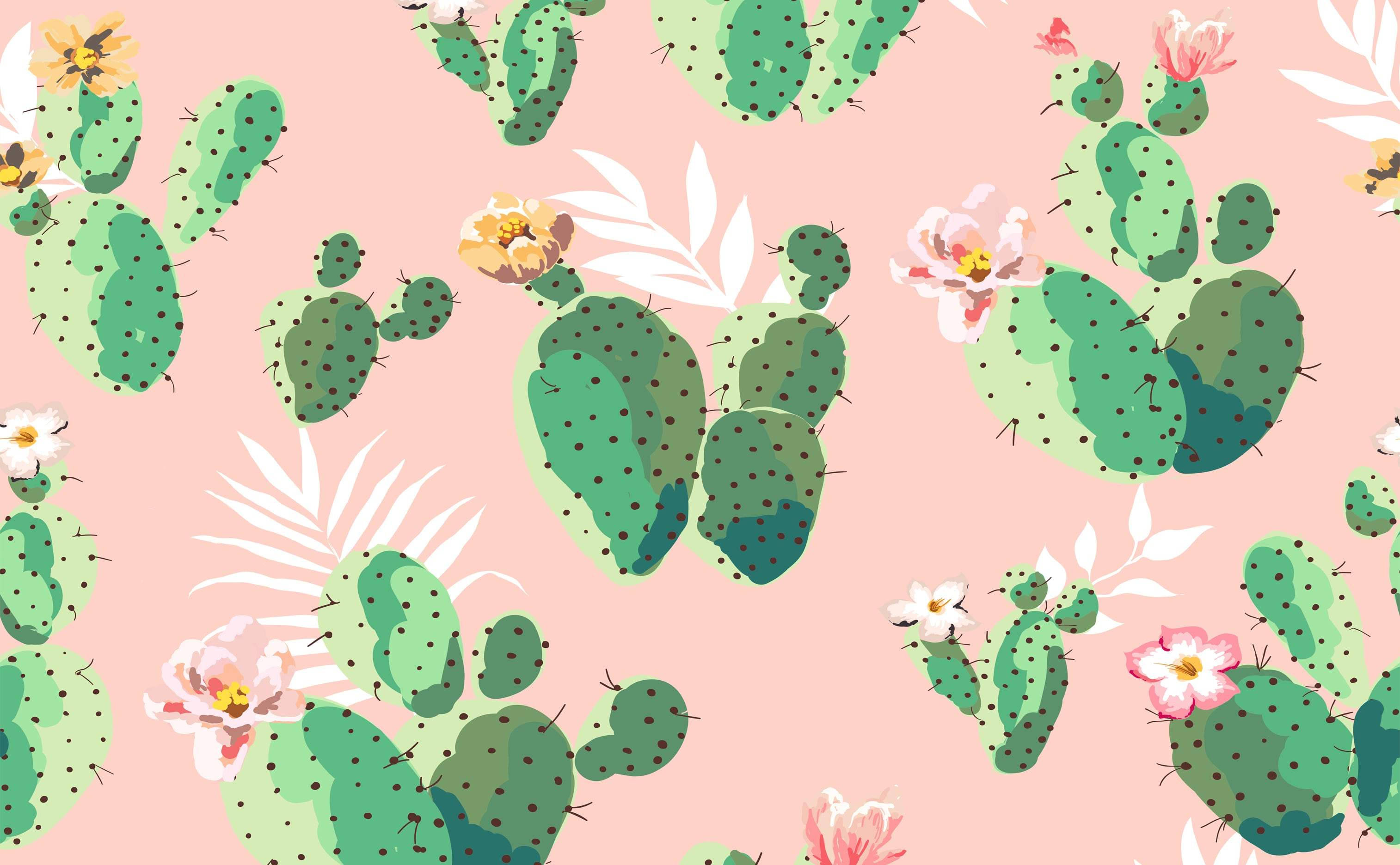 pastel pink green cactus, prickly pear cactus, pink and yellow flowers, 2K Desktop Wallpaper