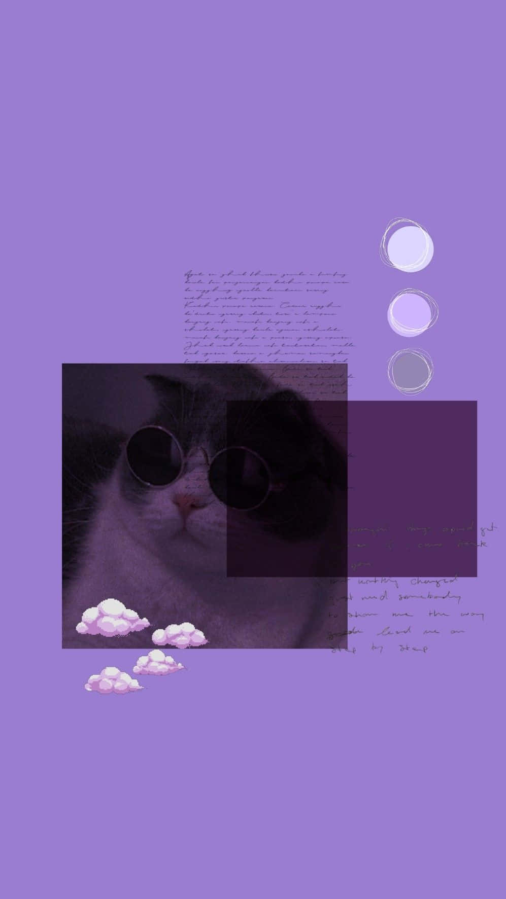 pastel purple cat collage, black and white cat, round sunglasses, HD Phone Wallpaper