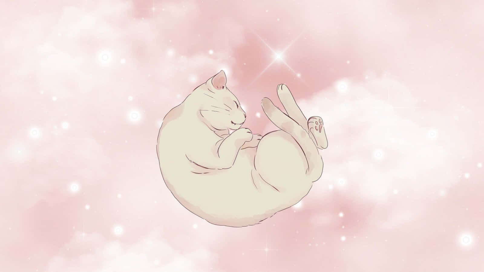 pastel cat, white cat, pink clouds, HD Desktop Wallpaper