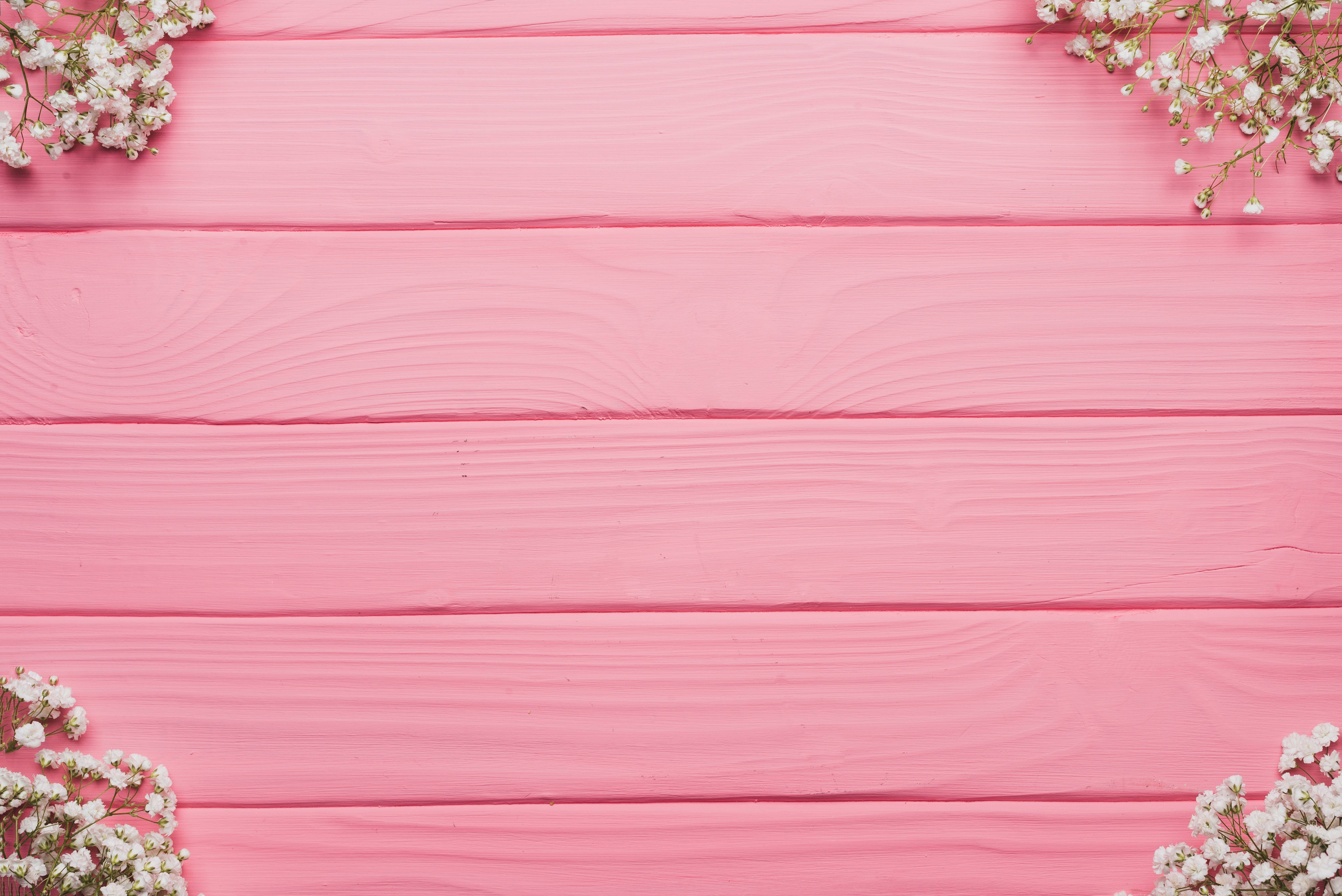 pink wooden planks, white baby's breath flowers, delicate, 5K Desktop Wallpaper