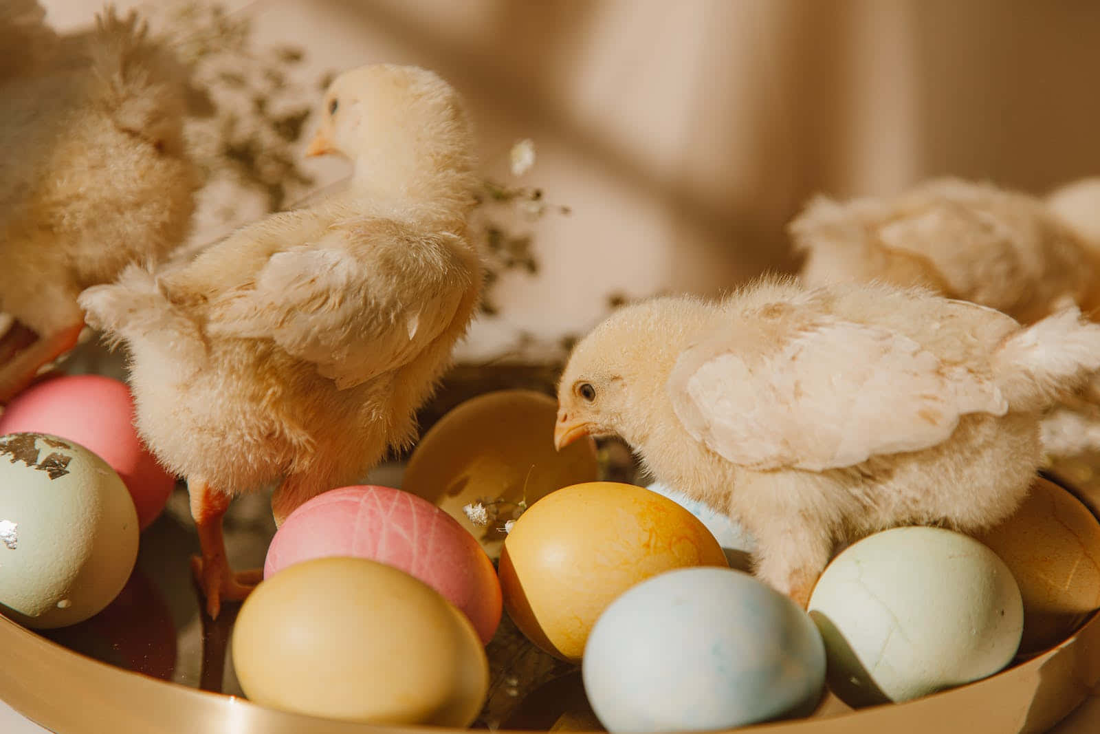 pastel Easter, fluffy yellow chicks, colorful pastel eggs, HD Desktop Wallpaper