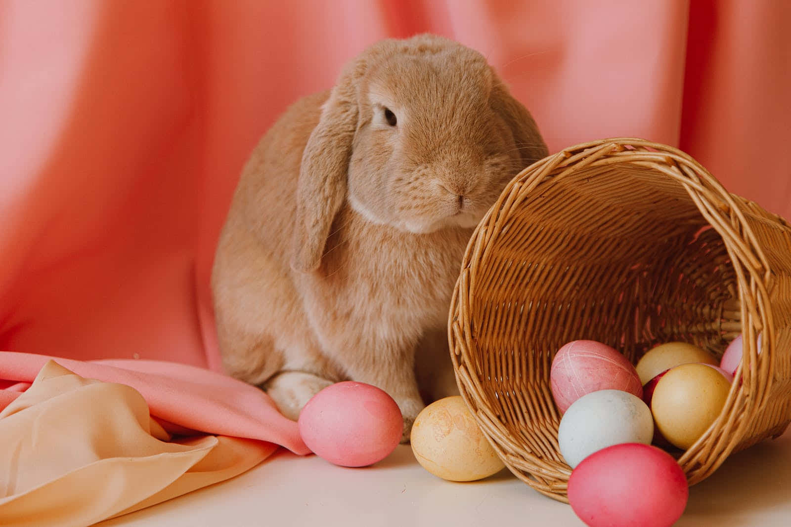 Pastel-colored decorations, fluffy brown lop-eared rabbit, tipped-over wicker basket, HD Desktop Wallpaper