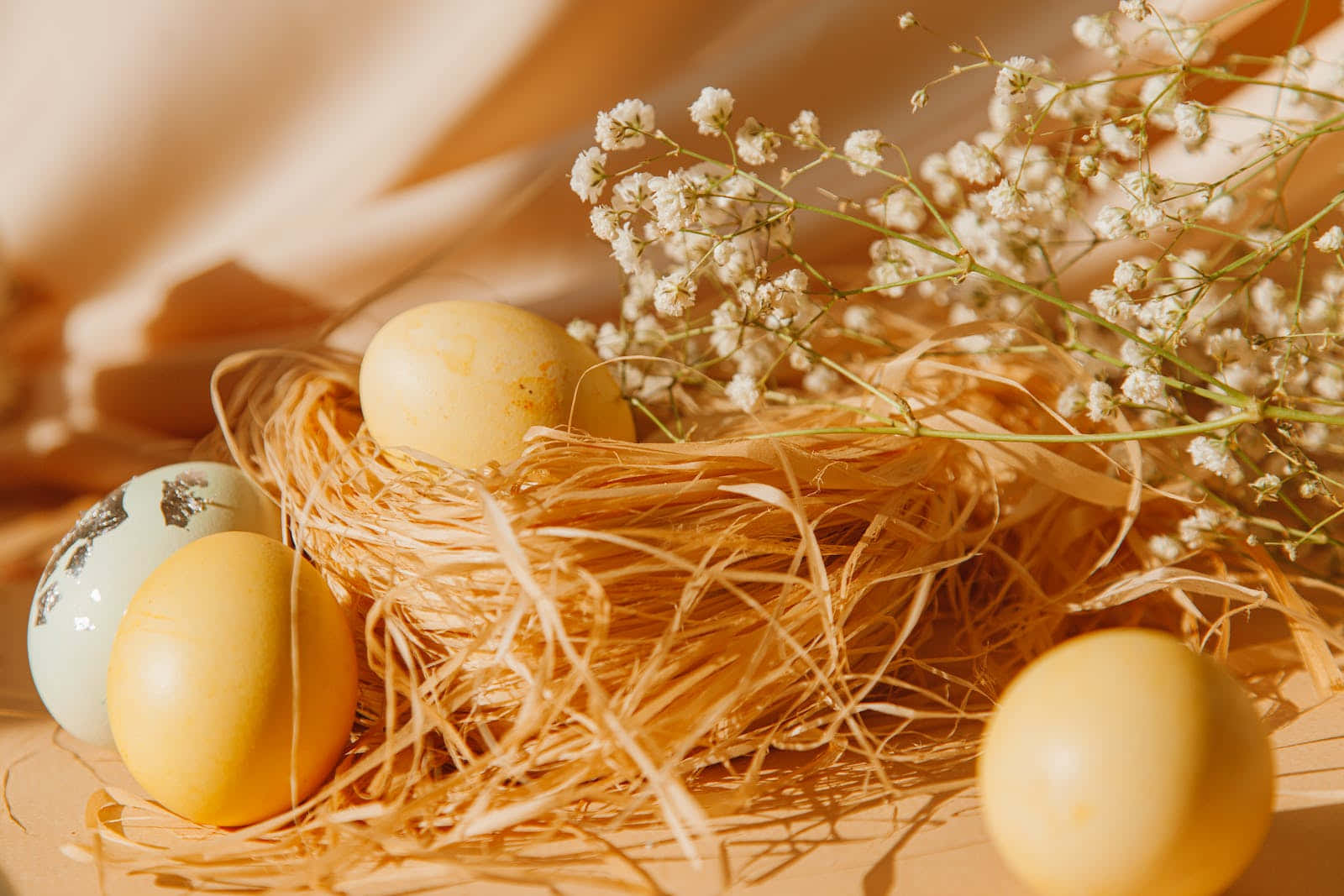 Pastel Easter, rustic nest, speckled eggs, HD Desktop Wallpaper