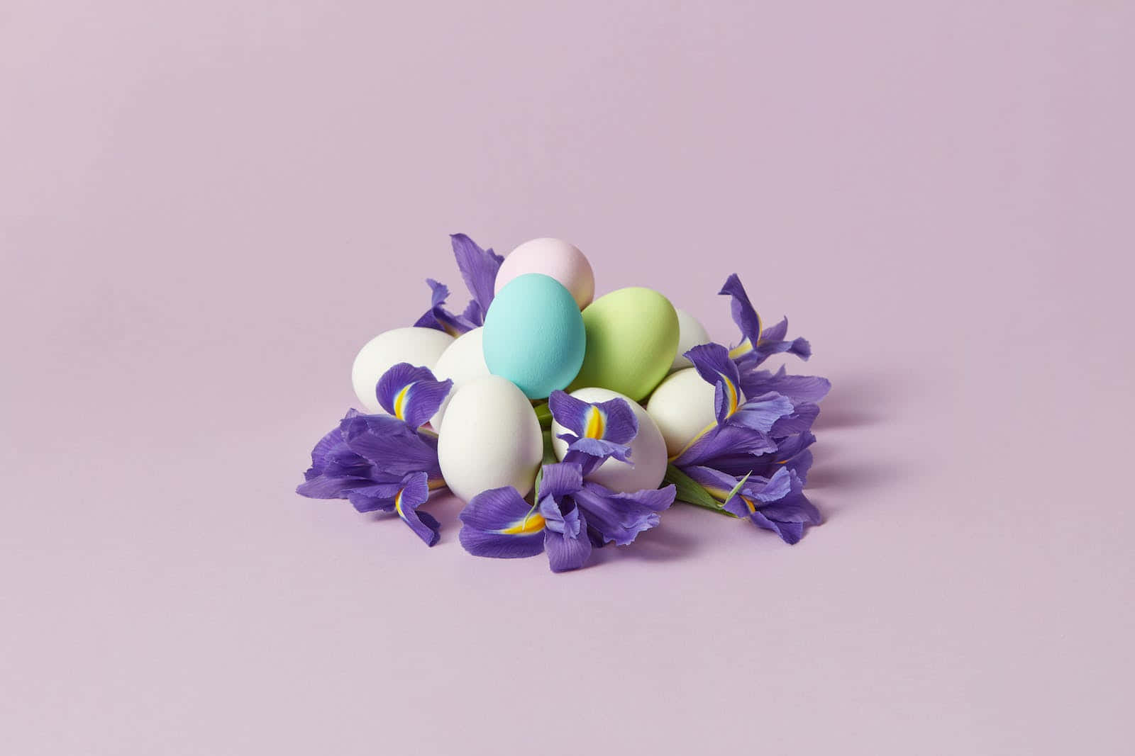 Pastel Easter, pastel eggs, vibrant purple irises, HD Desktop Wallpaper