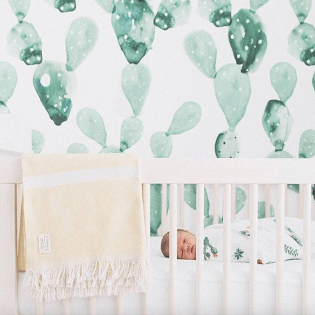 pastel green cacti, nursery, watercolor cactus-patterned wallpaper, SD Desktop Wallpaper