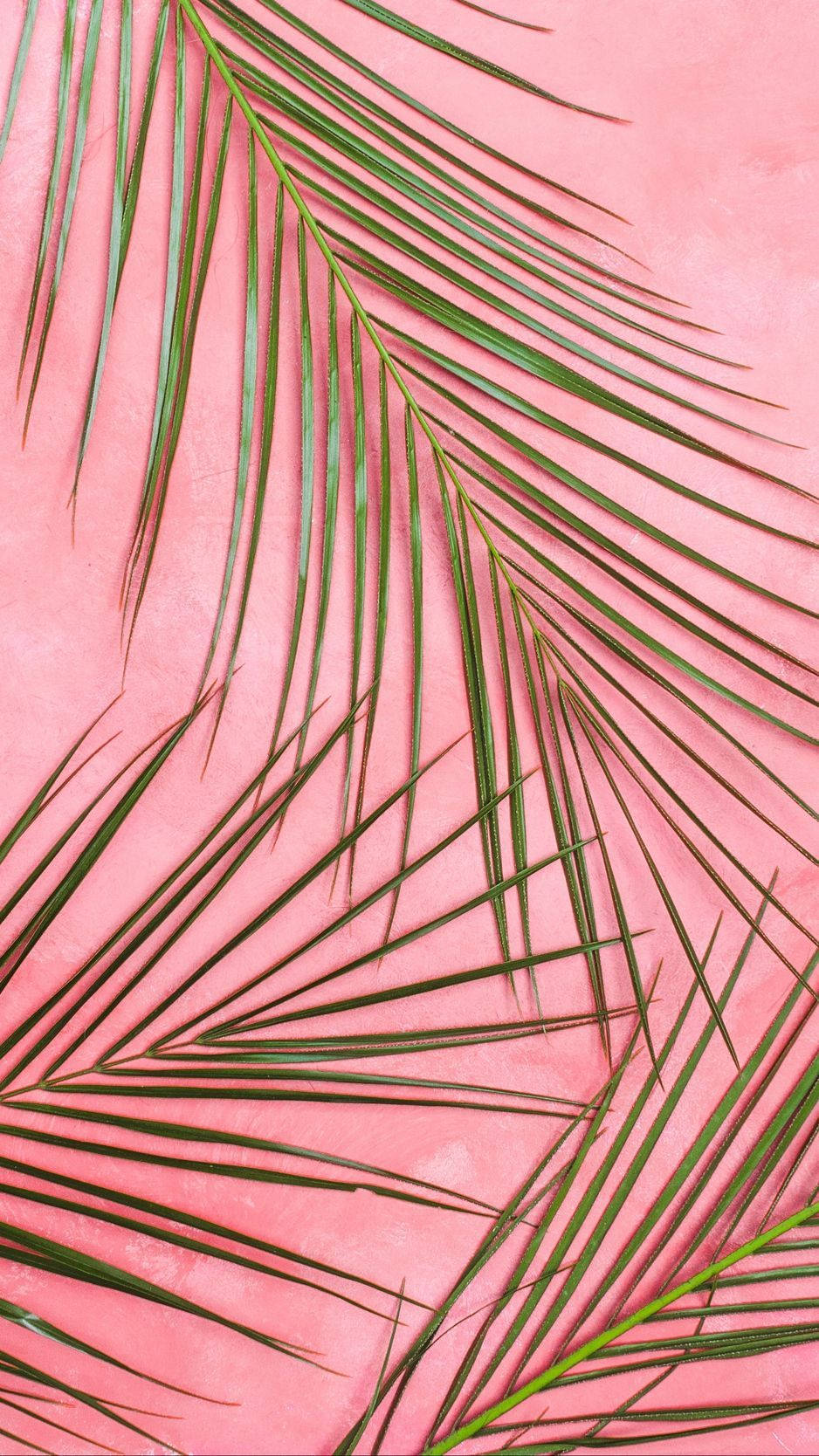Pastel iPhone, pink, green, HD Phone Wallpaper